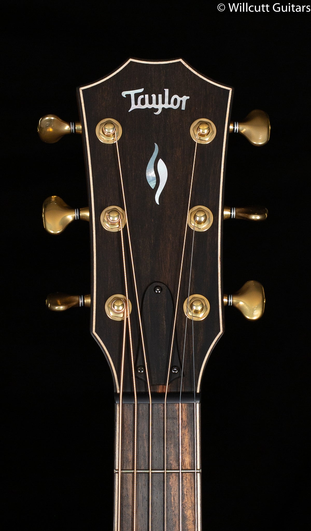 2020 Taylor 816ce Builder&#39;s Edition (165)