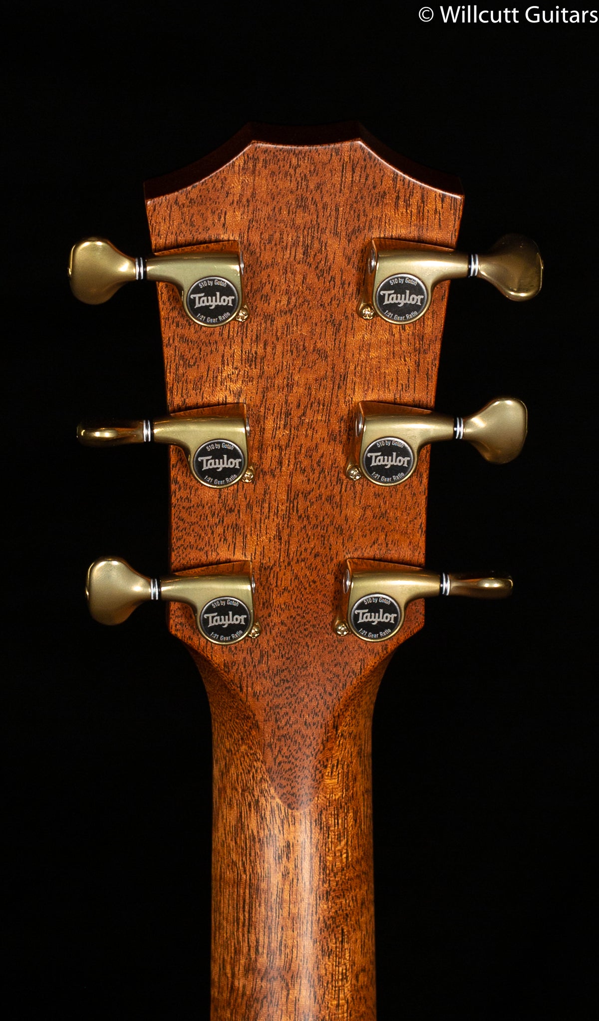 2020 Taylor 816ce Builder&#39;s Edition (165)