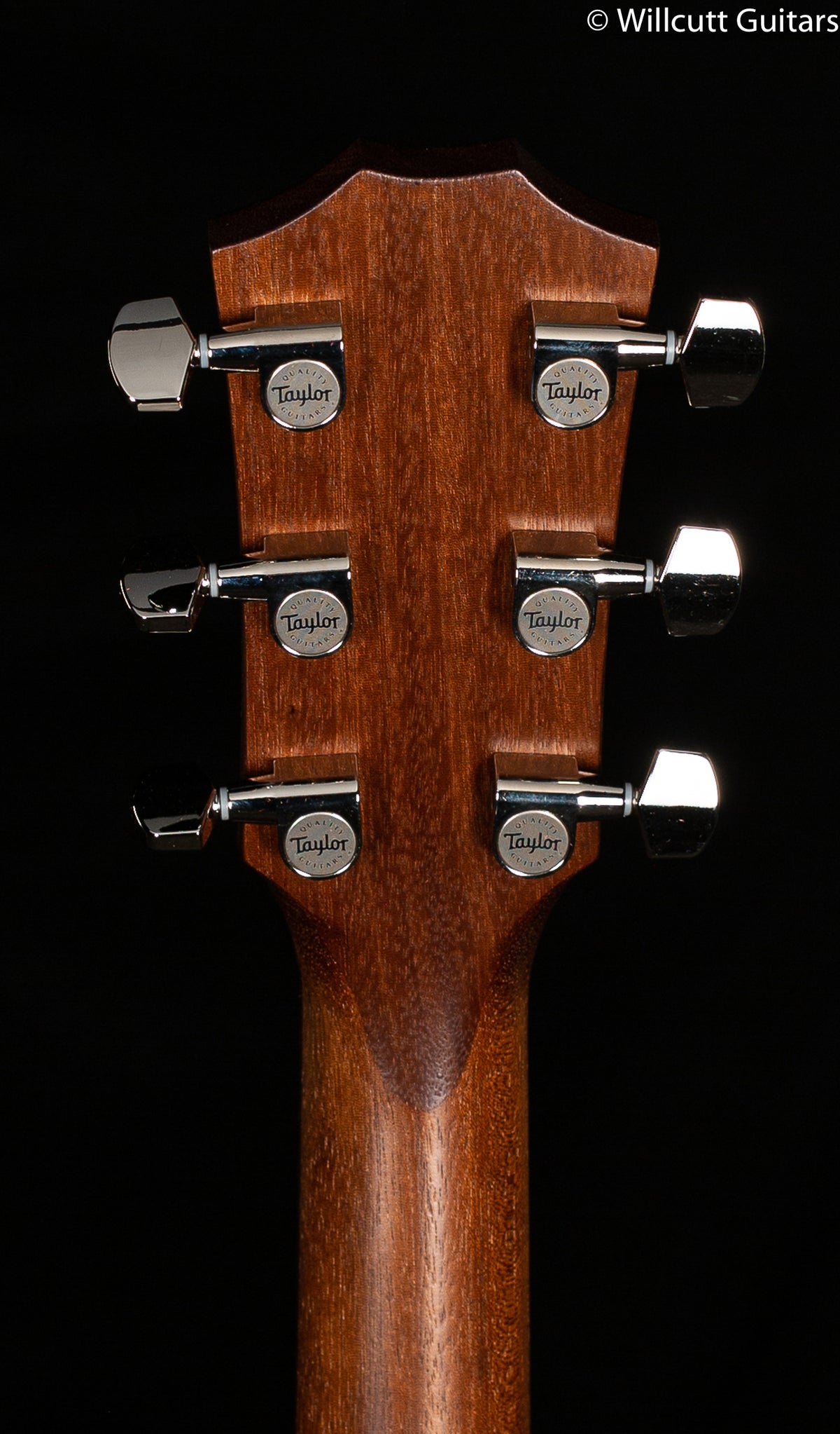 Taylor American Dream Grand Pacific AD27e