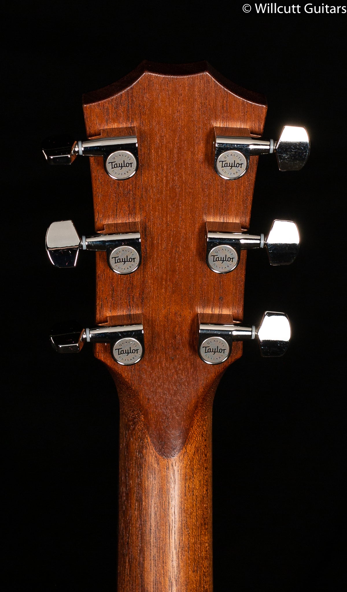 Taylor American Dream Grand Pacific AD27e