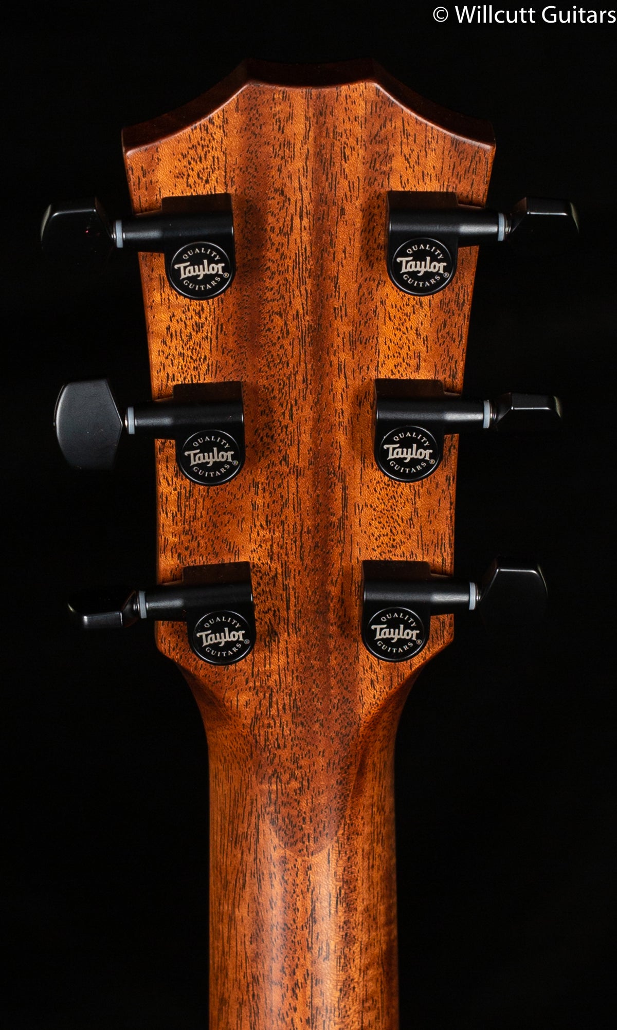 Taylor 327e Grand Pacific Mahogany Shaded Edge Burst Top V-Class Bracing (012)