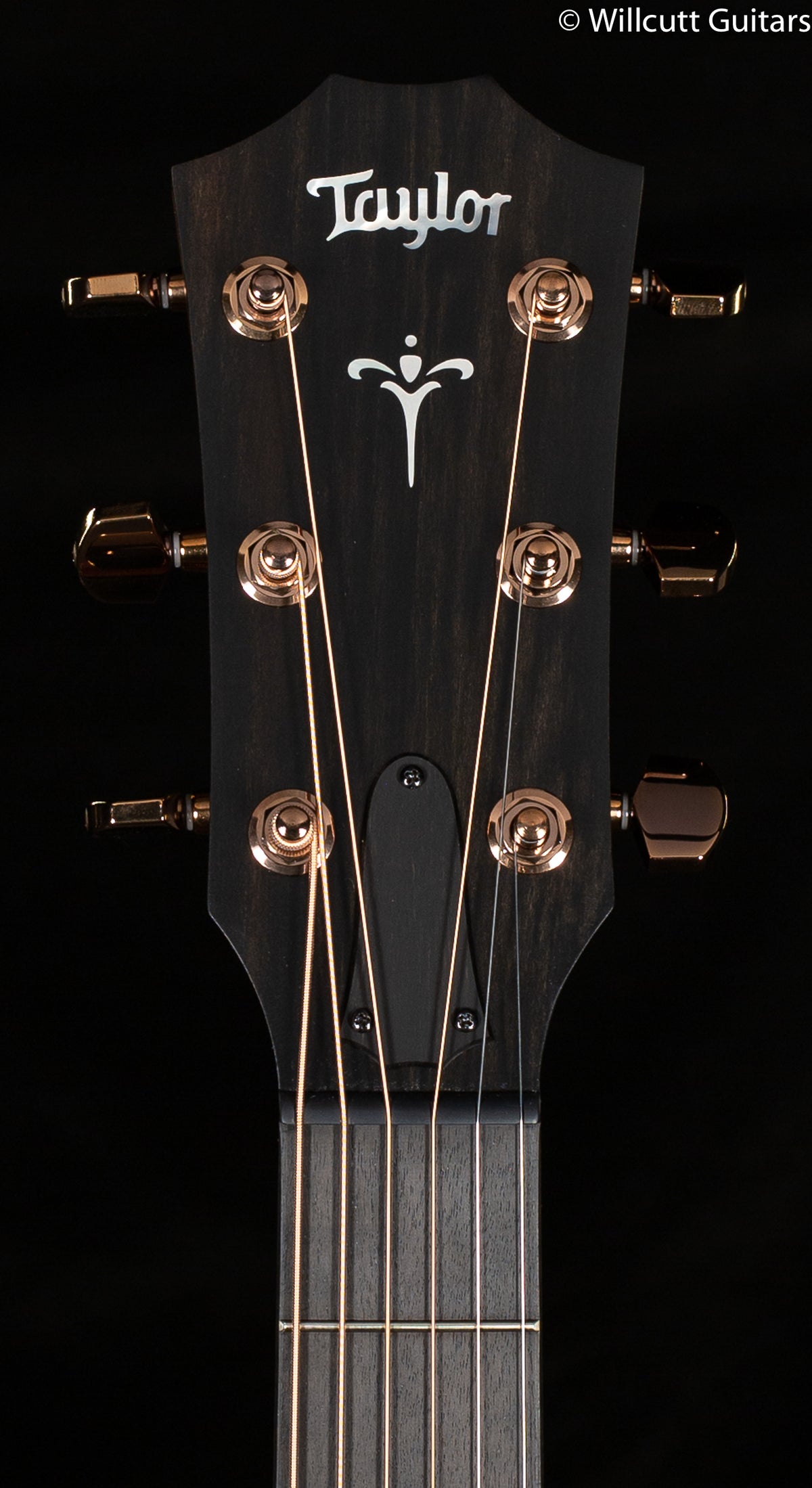 Taylor 722ce Grand Concert Hawaiian Koa (057)