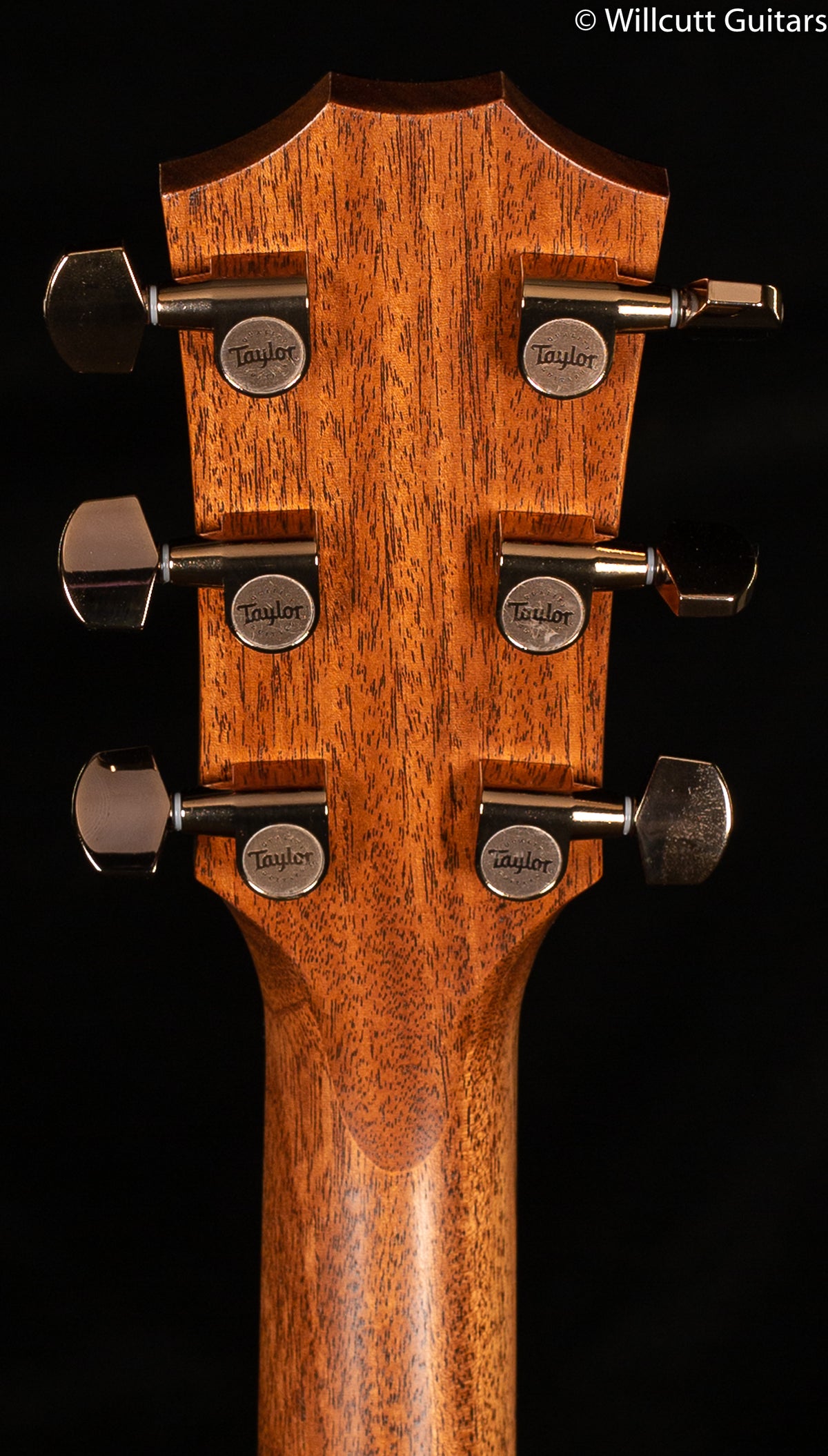 Taylor 724ce Grand Auditorium Koa (106)
