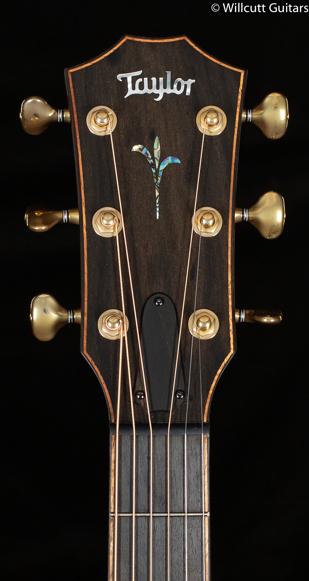Taylor Builder's Edition K24ce (092)