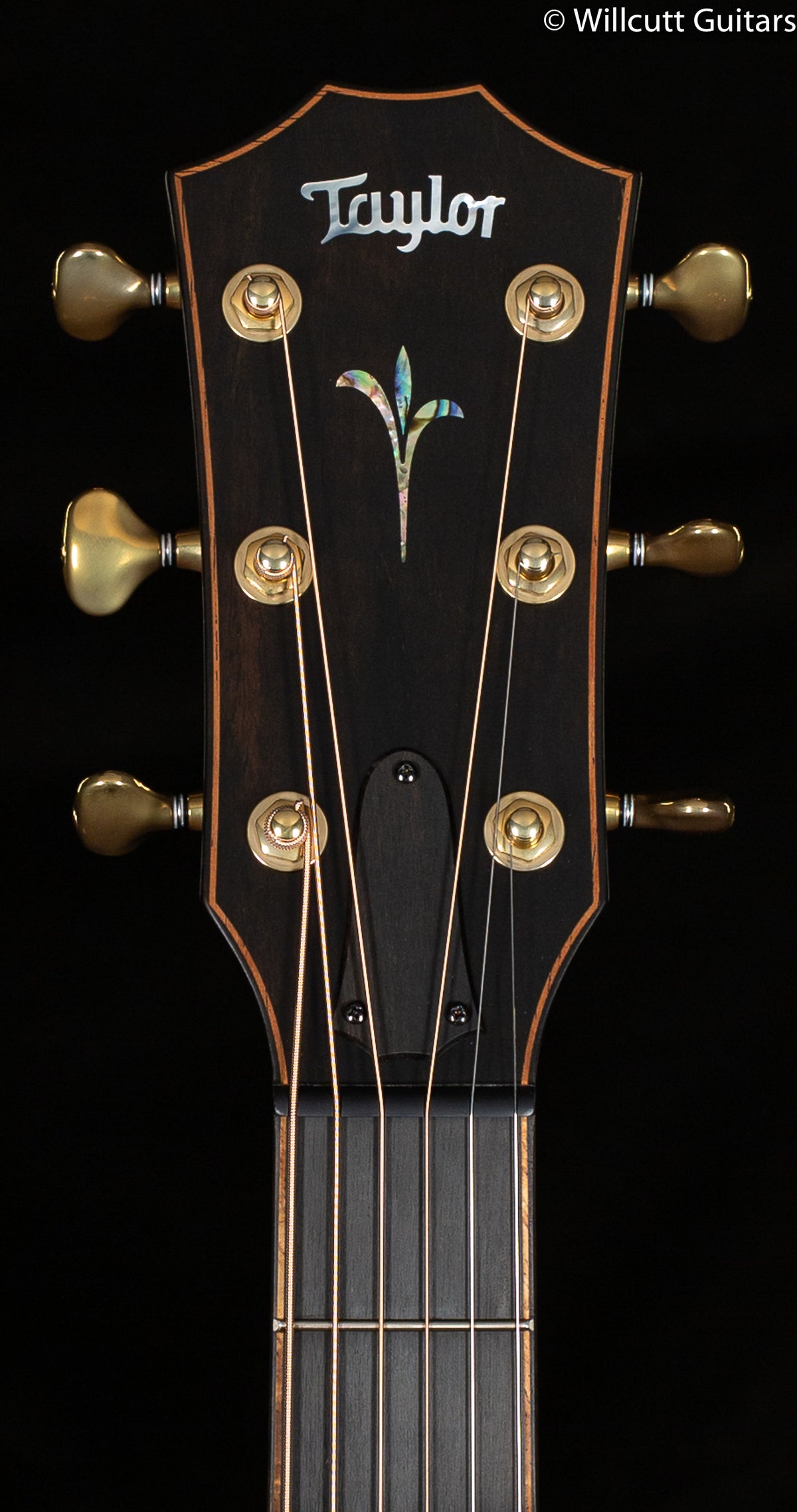 Taylor Builder's Edition K24ce (104)
