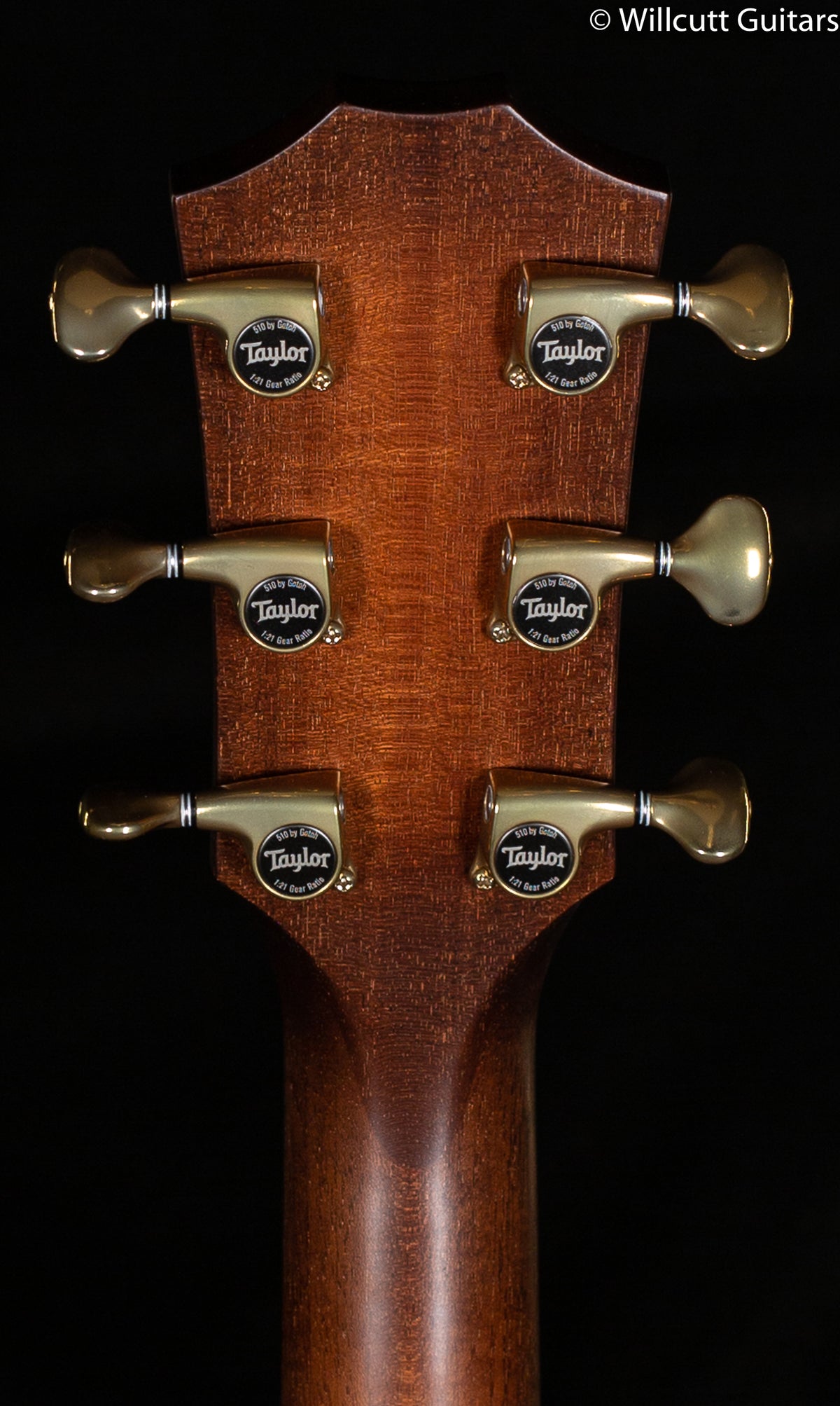 Taylor Builder's Edition K24ce (104)
