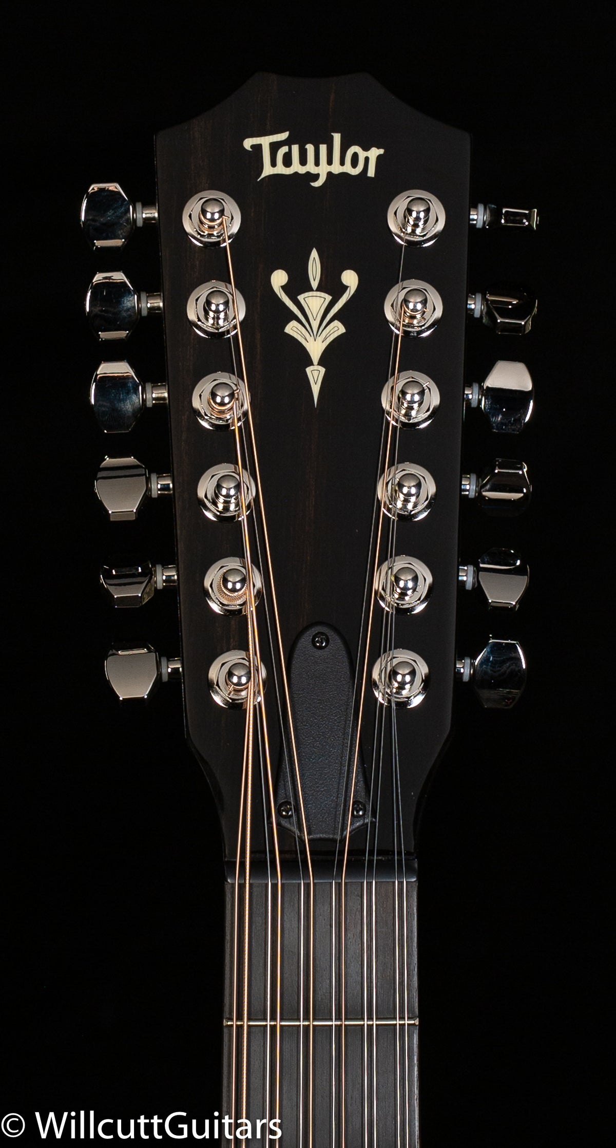 Taylor 562ce 12 String