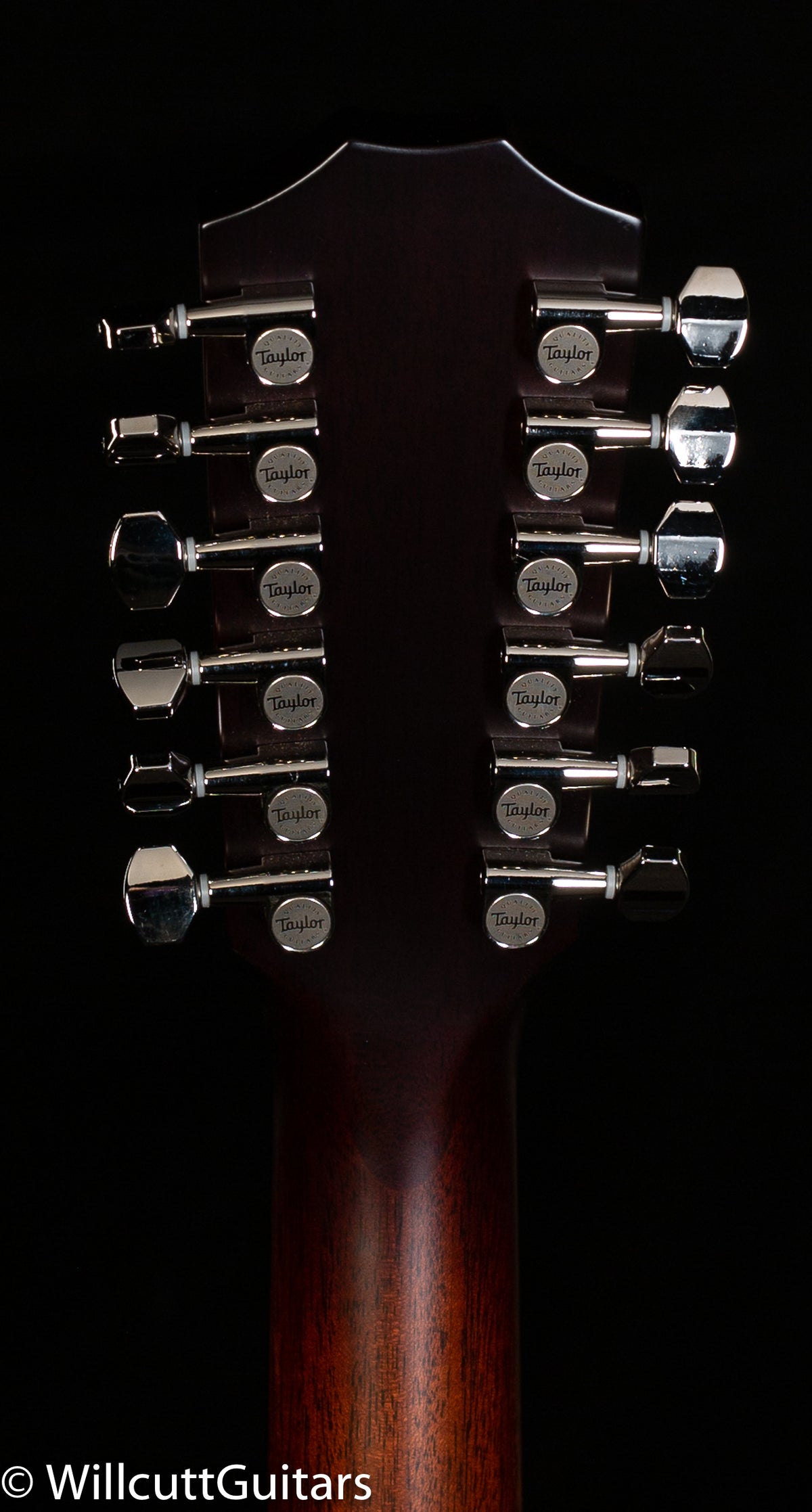 Taylor 562ce 12 String