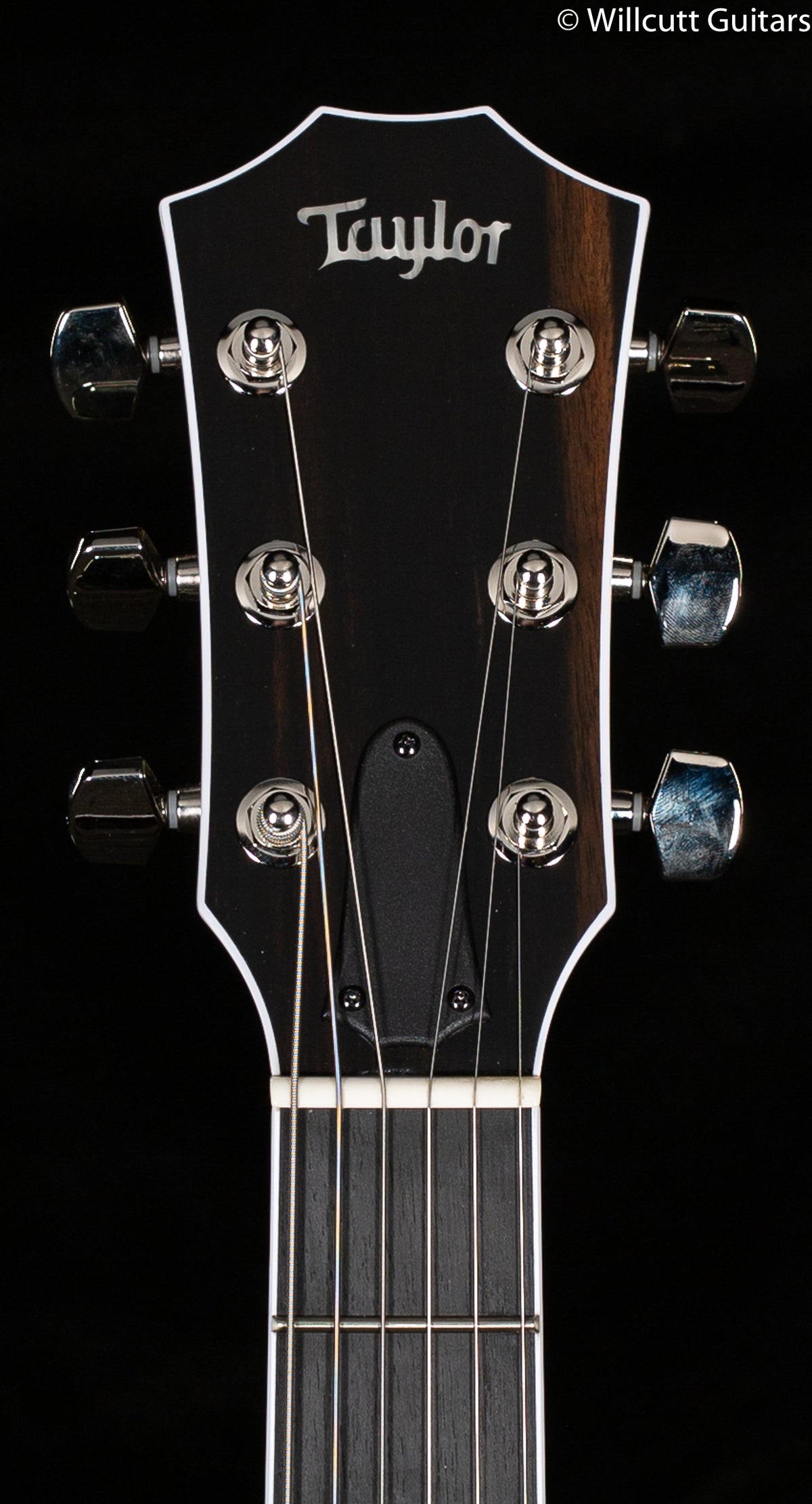 Taylor T5z Pro Molasses Burst Special Edition Quilt Maple (011)