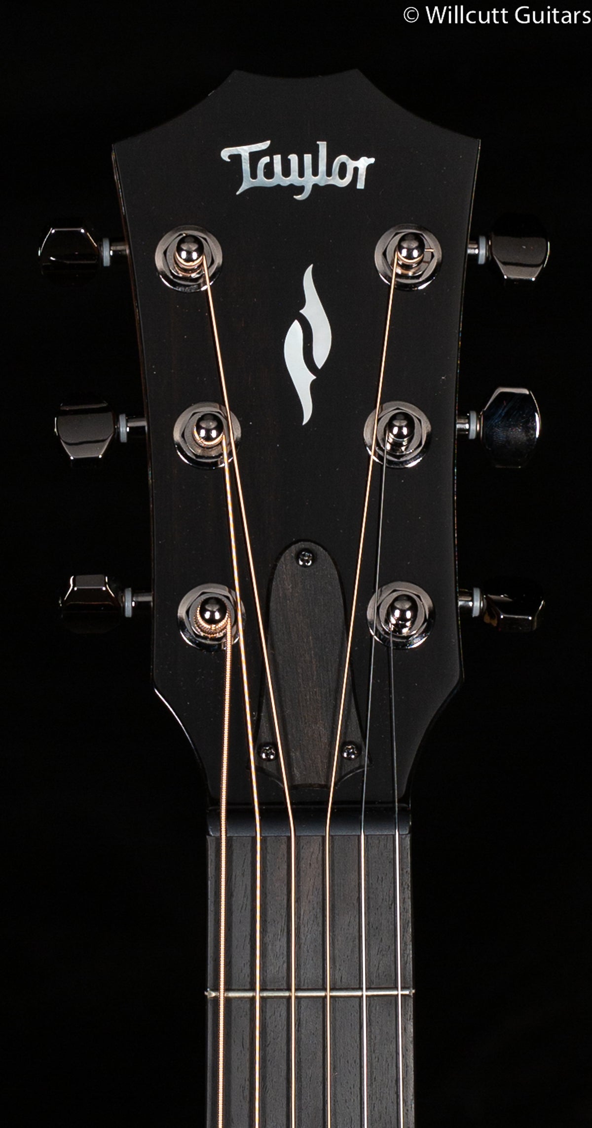 Taylor GT 811e Rosewood/Spruce ES2 (019)