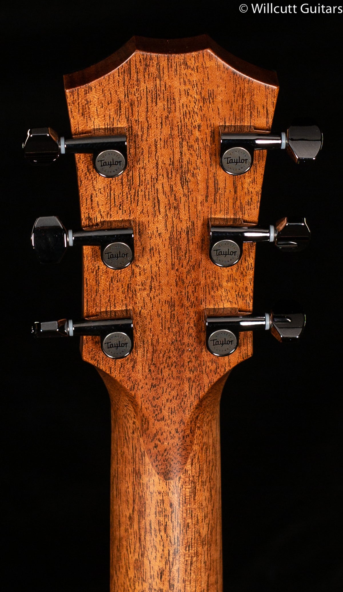 Taylor GT 811e Rosewood/Spruce ES2 (019)