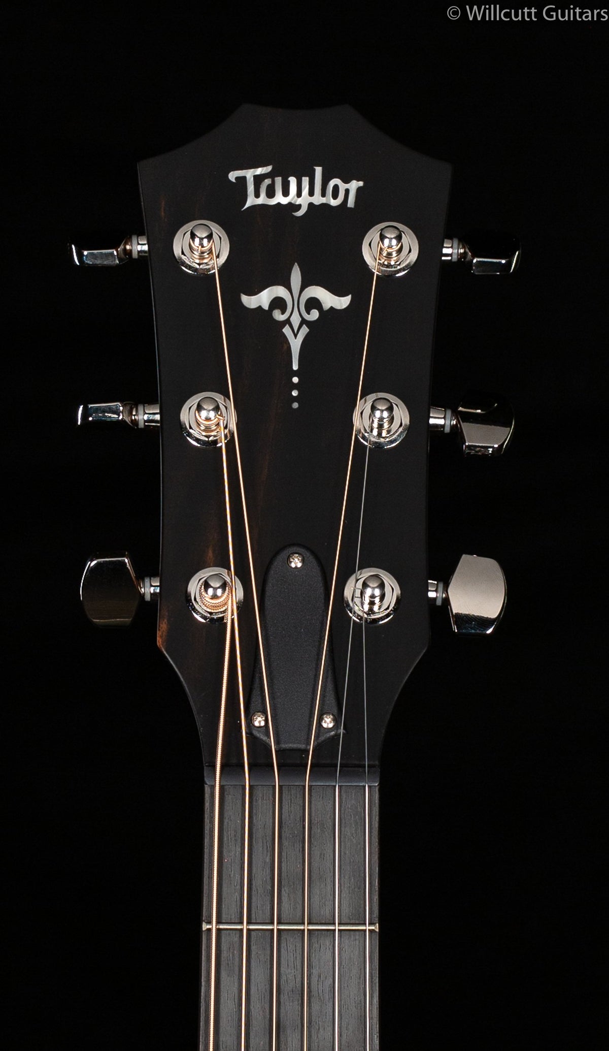 Taylor E14ce V-Class