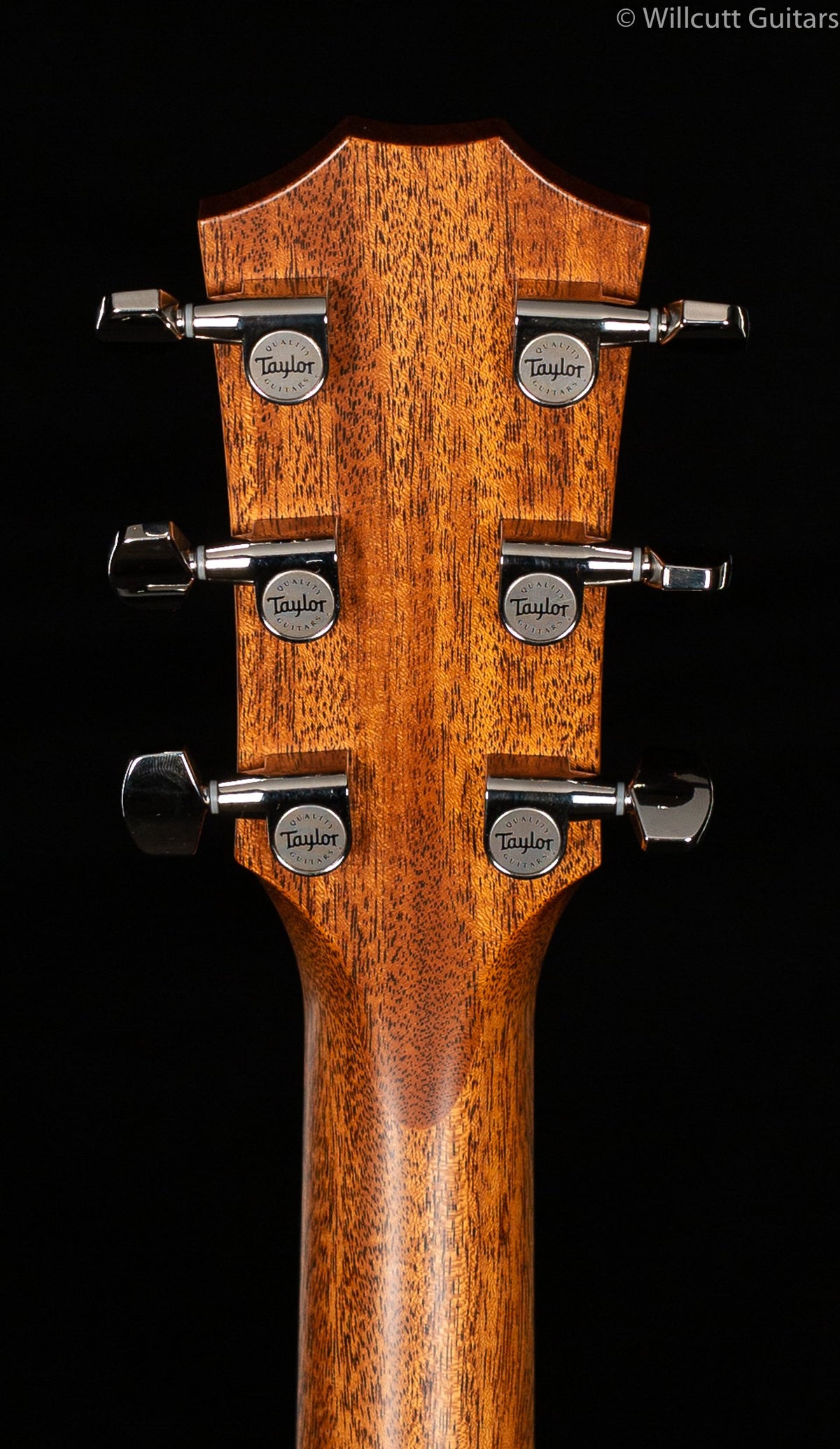 Taylor E14ce V-Class