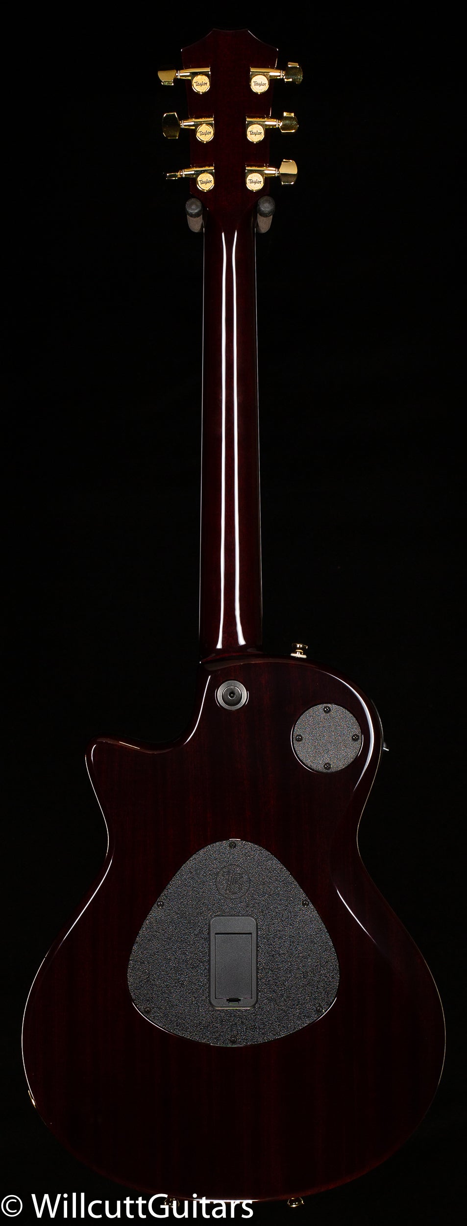 Taylor T5z Custom Spalted Koa Top