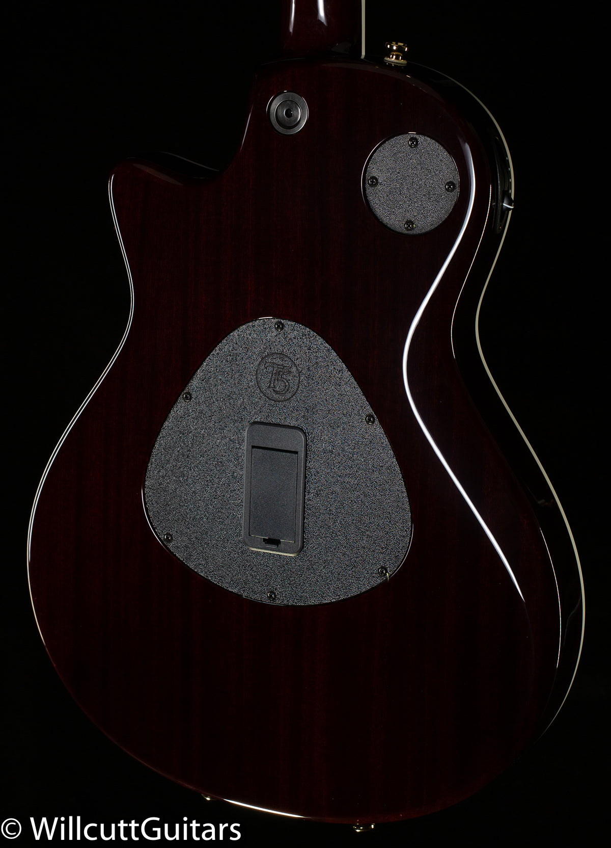 Taylor T5z Custom Spalted Koa Top