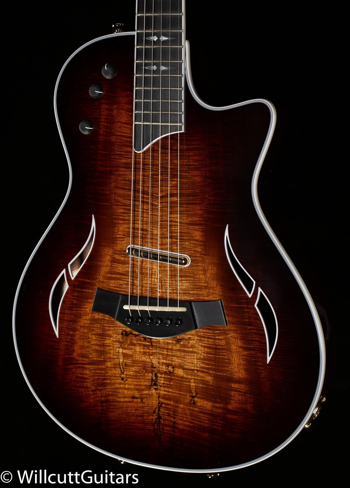 Taylor T5z Custom Spalted Koa Top
