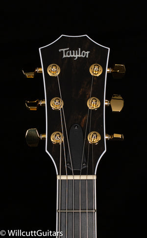Taylor T5z Custom Spalted Koa Top