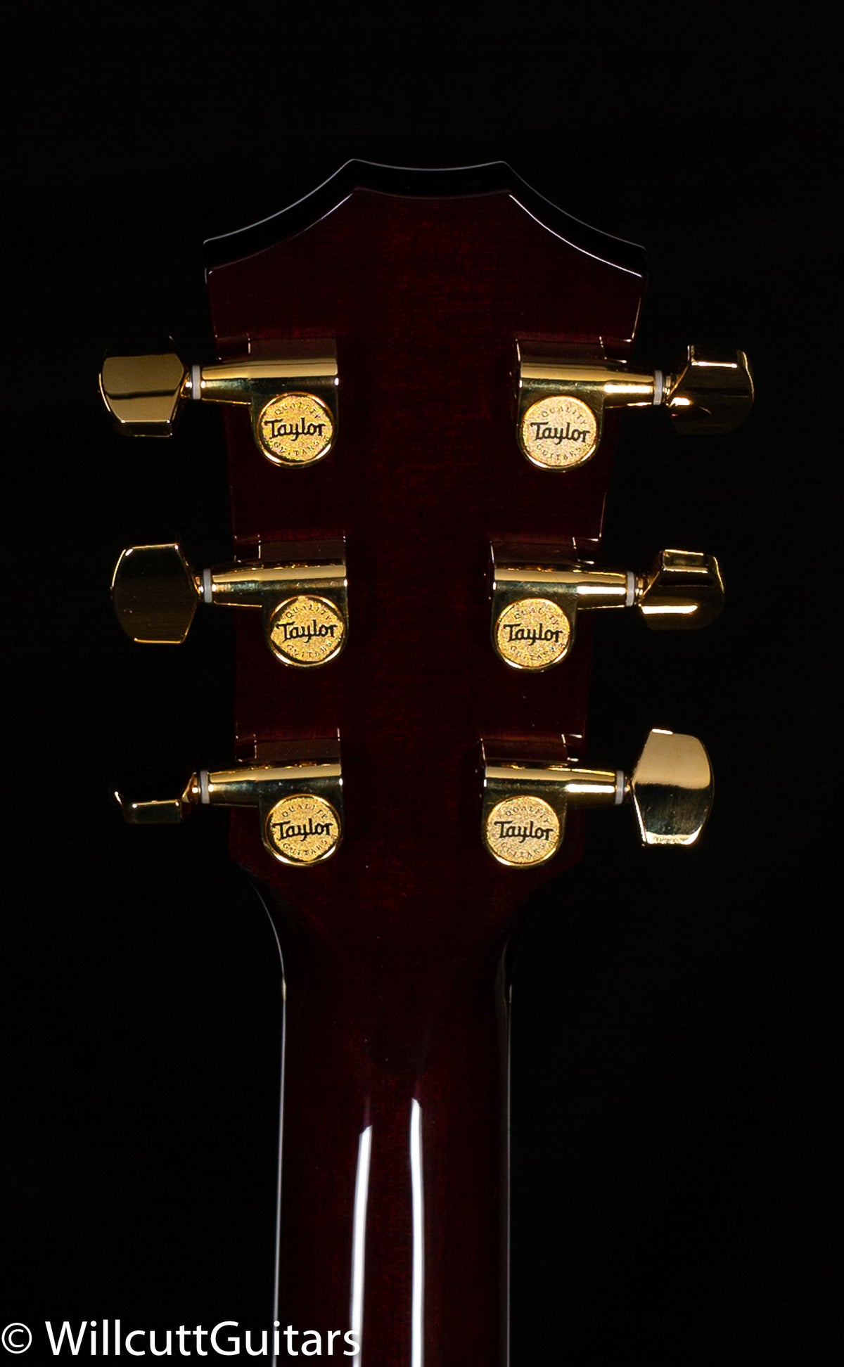 Taylor T5z Custom Spalted Koa Top