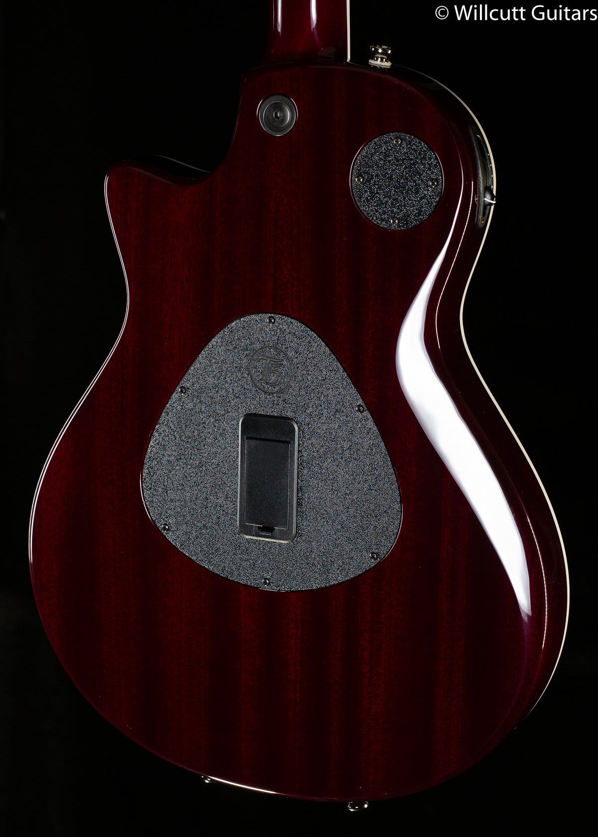 Taylor T5z Pro Borrego (005)