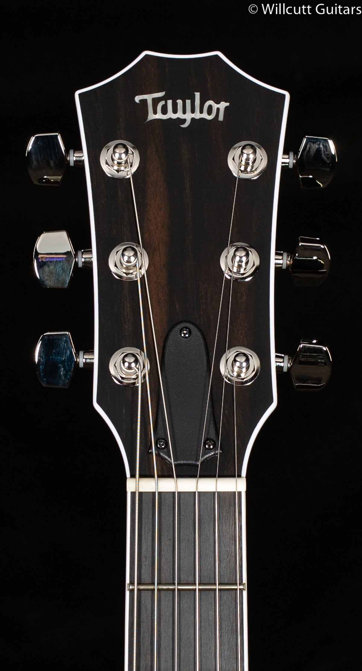 Taylor T5z Pro Borrego (005)