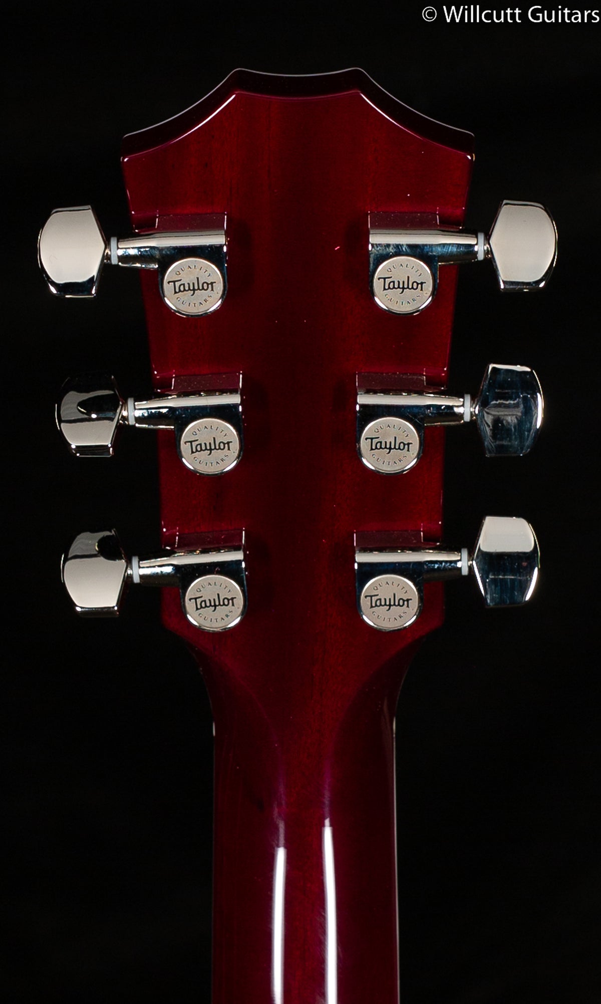 Taylor T5z Pro Borrego (005)