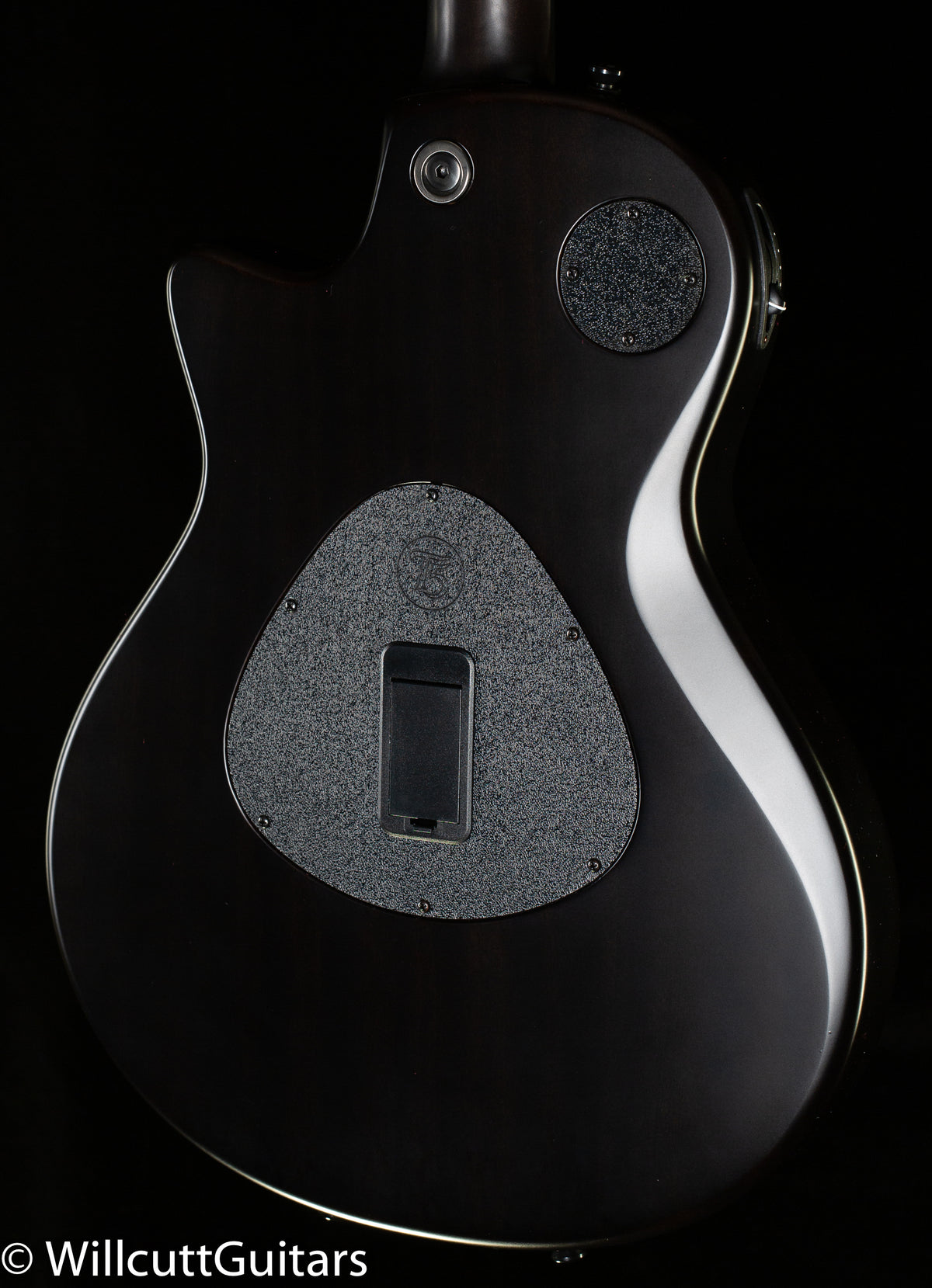 Taylor T5z Classic Rosewood (003)