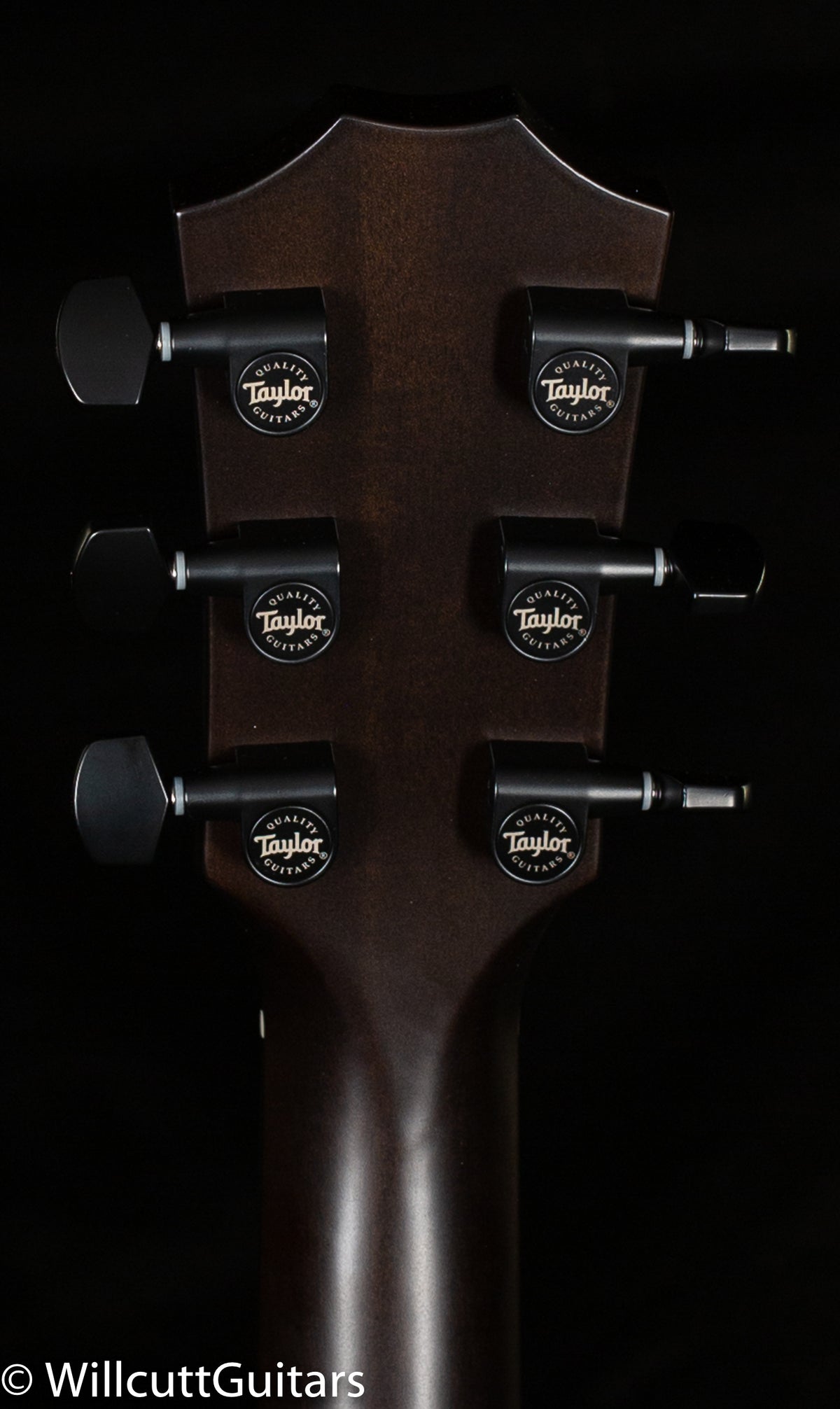 Taylor T5z Classic Rosewood (003)