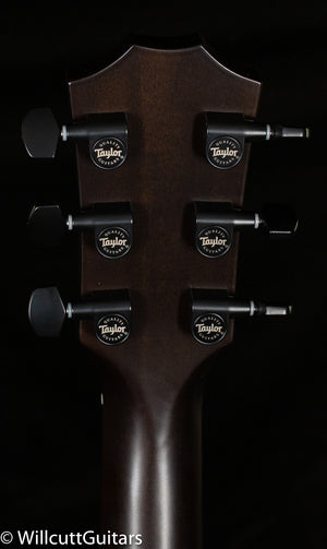 Taylor T5z Classic Rosewood (003)