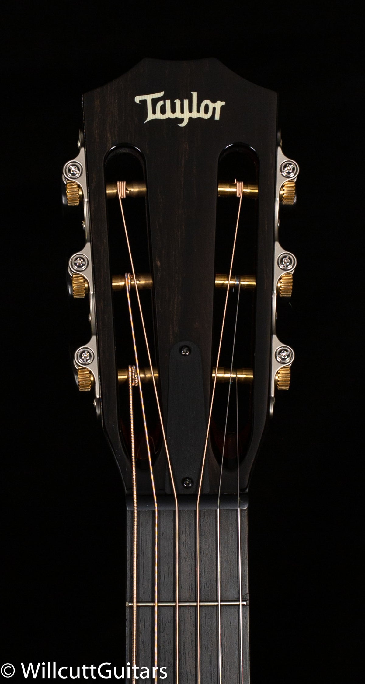 Taylor 612ce 12-Fret V-Class