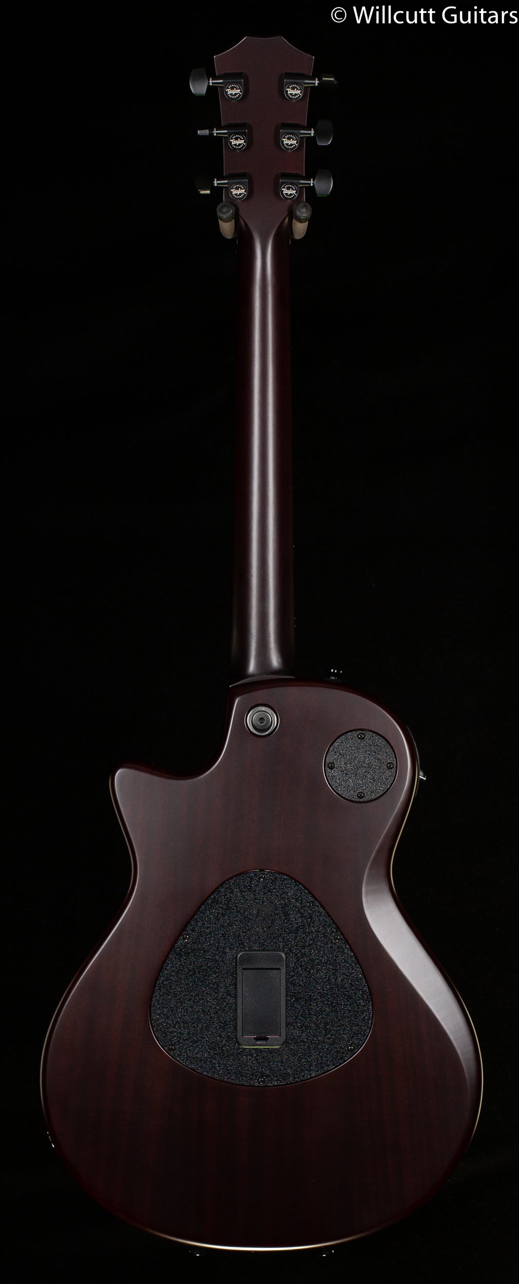 Taylor T5z Classic Sassafras Top (175)