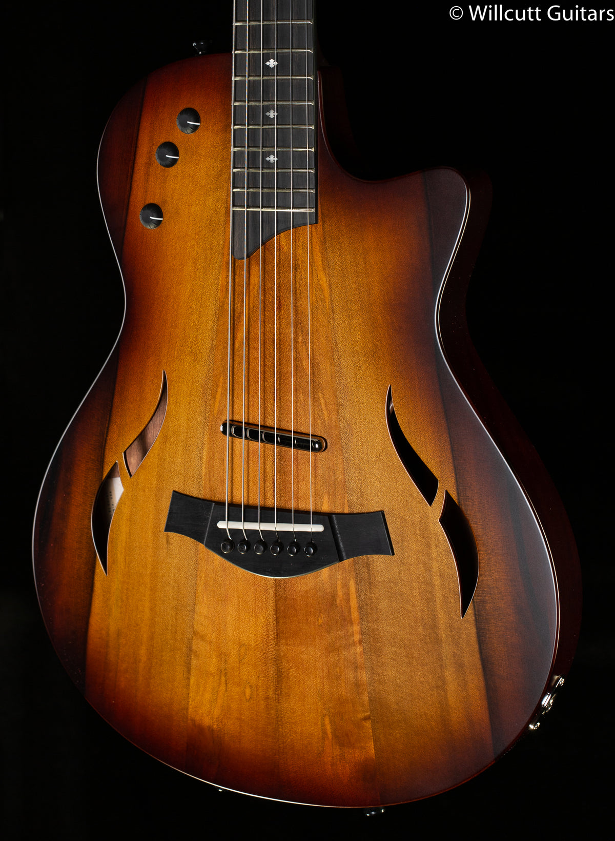 Taylor T5z Classic Sassafras Top (175)