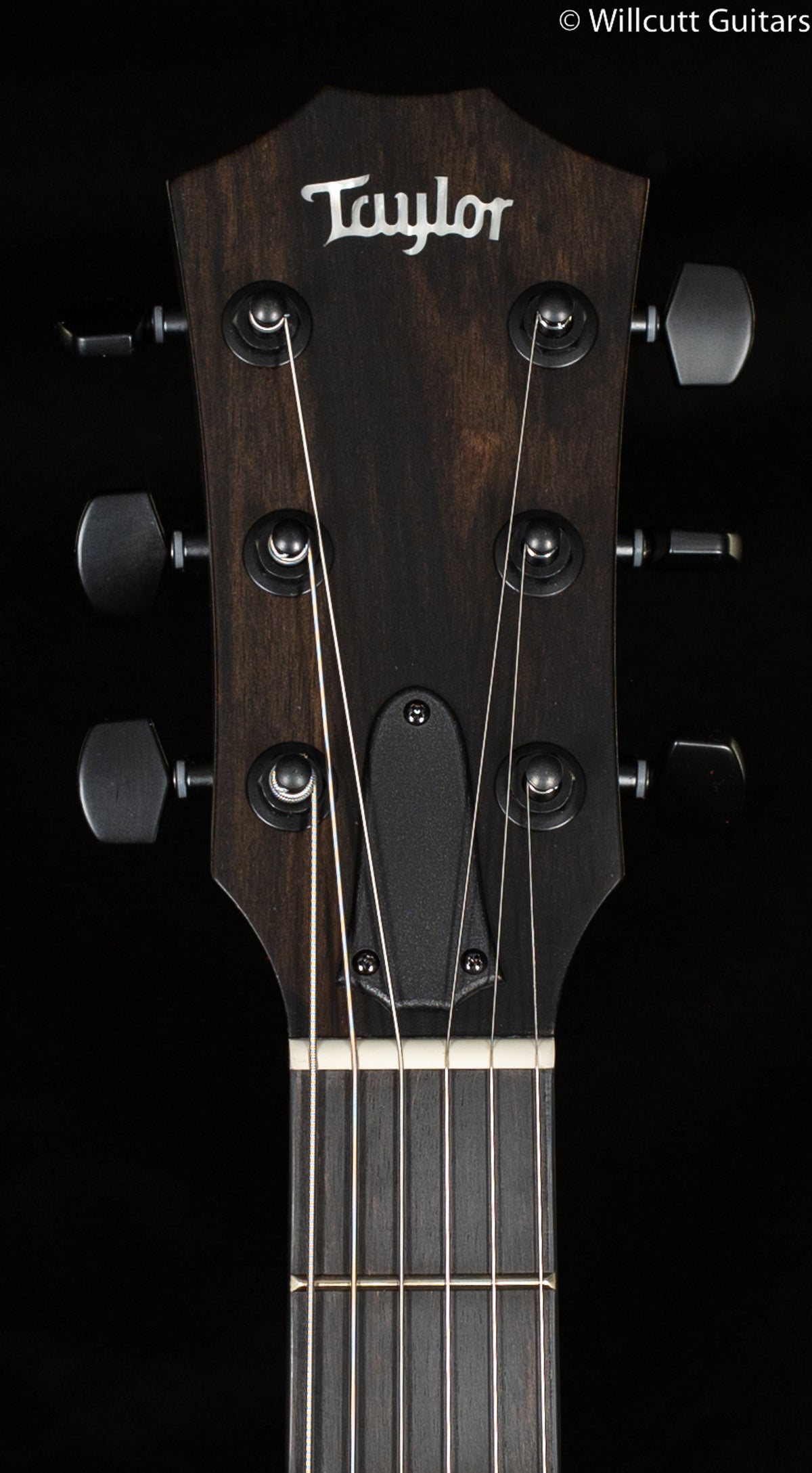 Taylor T5z Classic Sassafras Top (175)