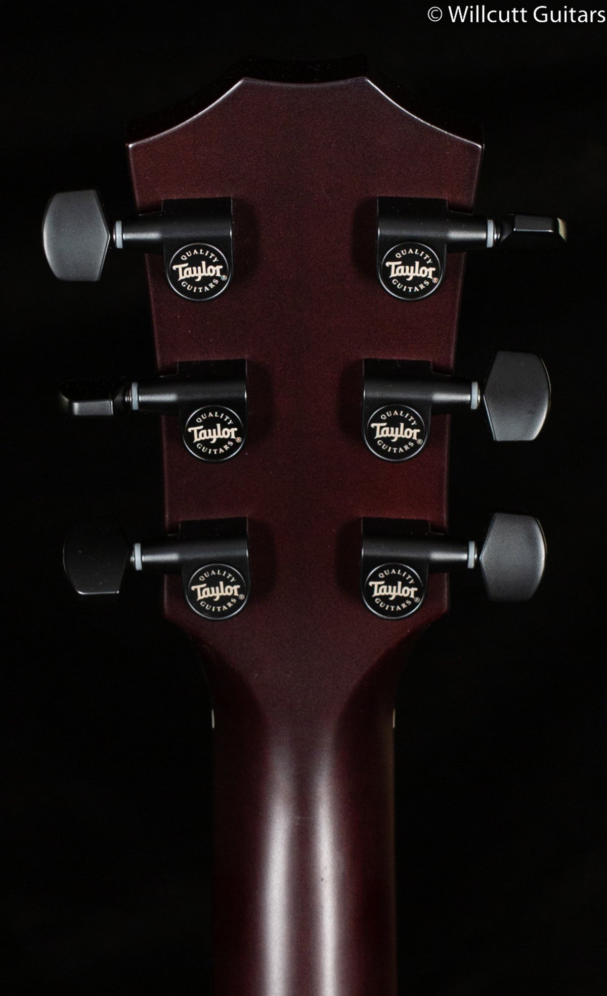 Taylor T5z Classic Sassafras Top (175)