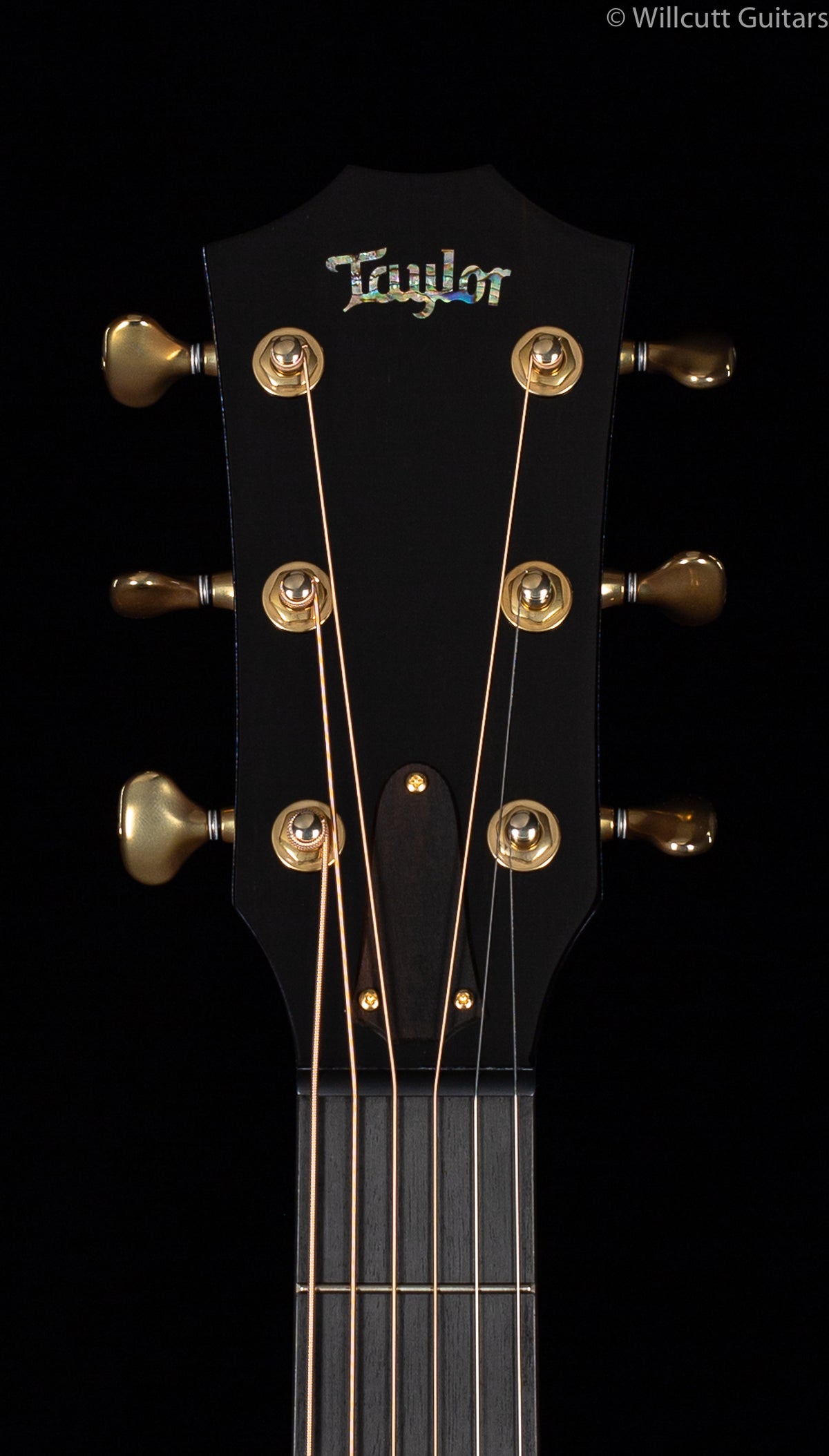 Taylor K24ce AA Koa V-Class