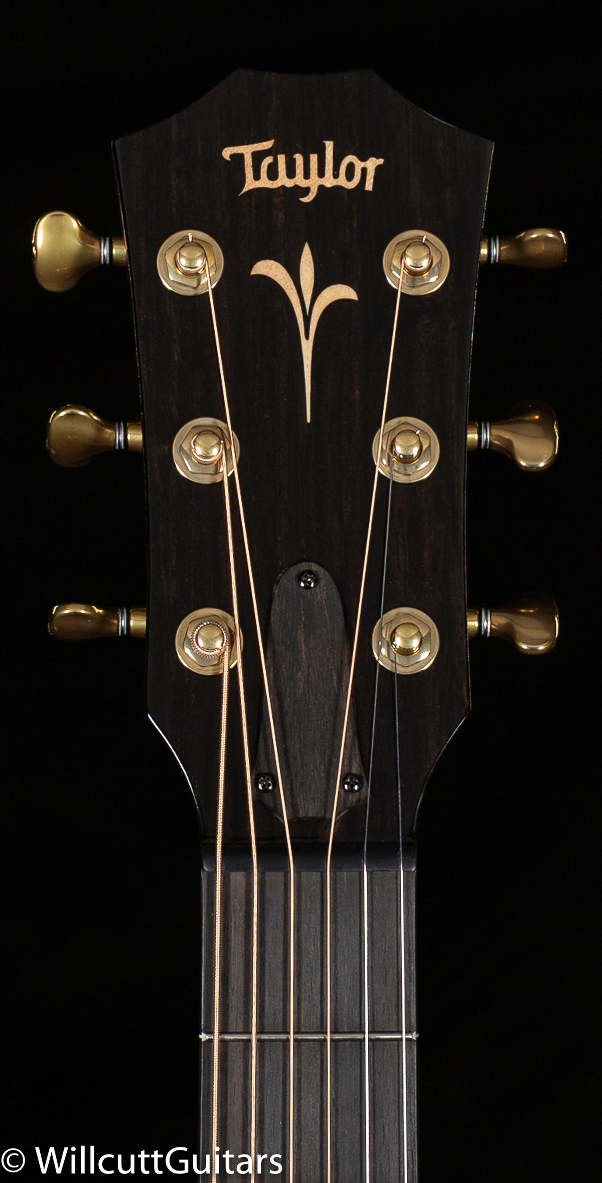 2022 Taylor GT K21e Grand Theater Hawaiian Koa (010)