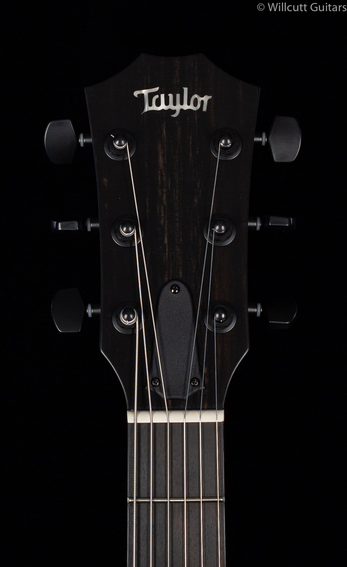 Taylor T5z Classic Koa