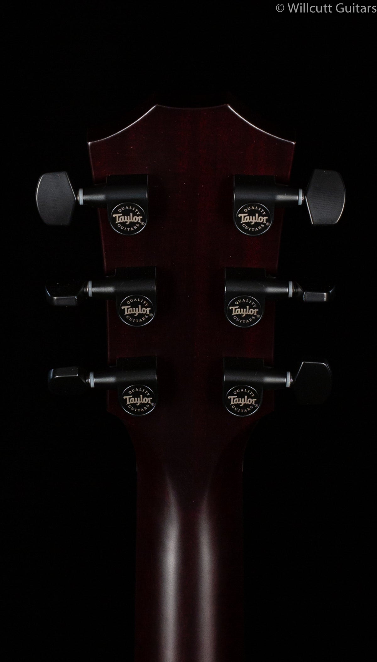 Taylor T5z Classic Koa