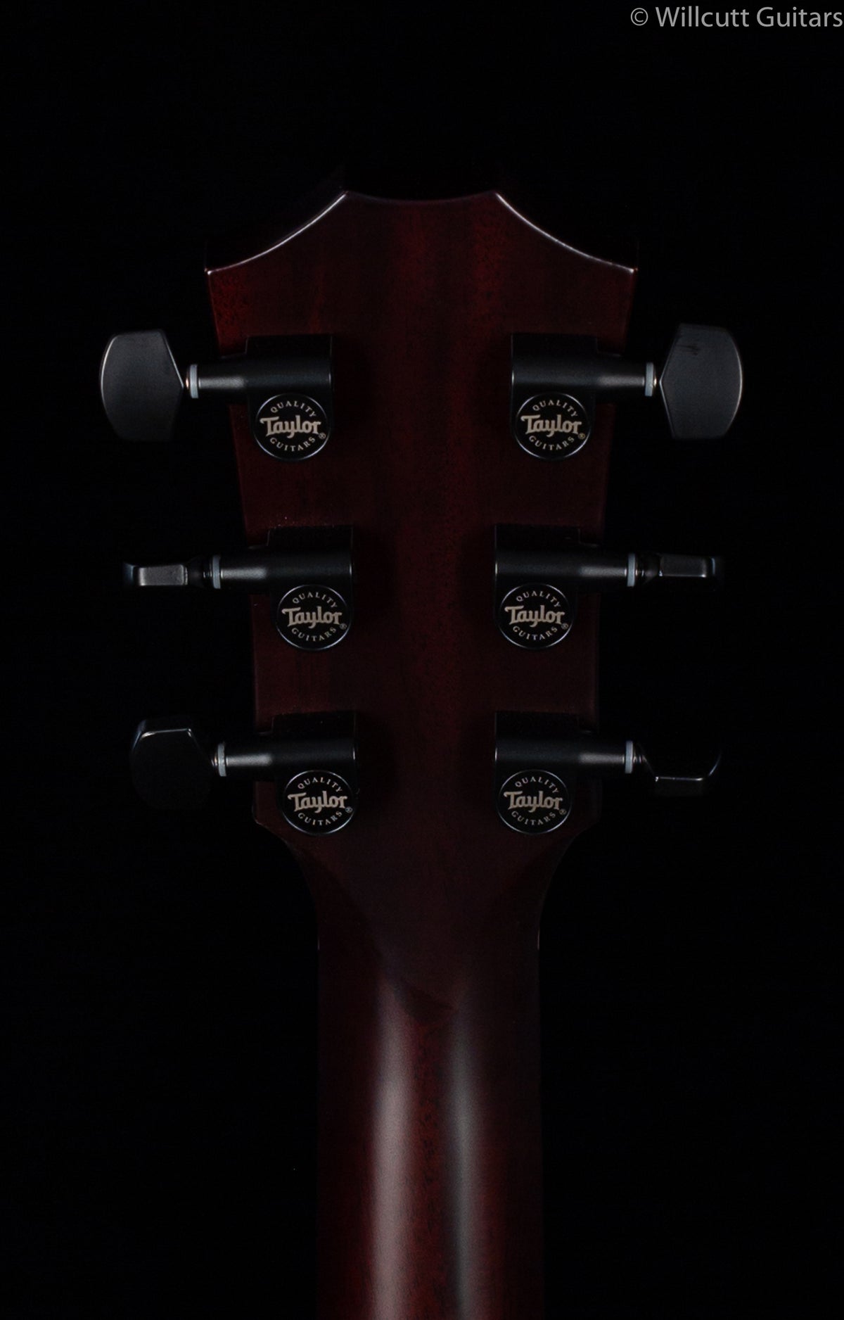 Taylor T5Z Classic Sassafras