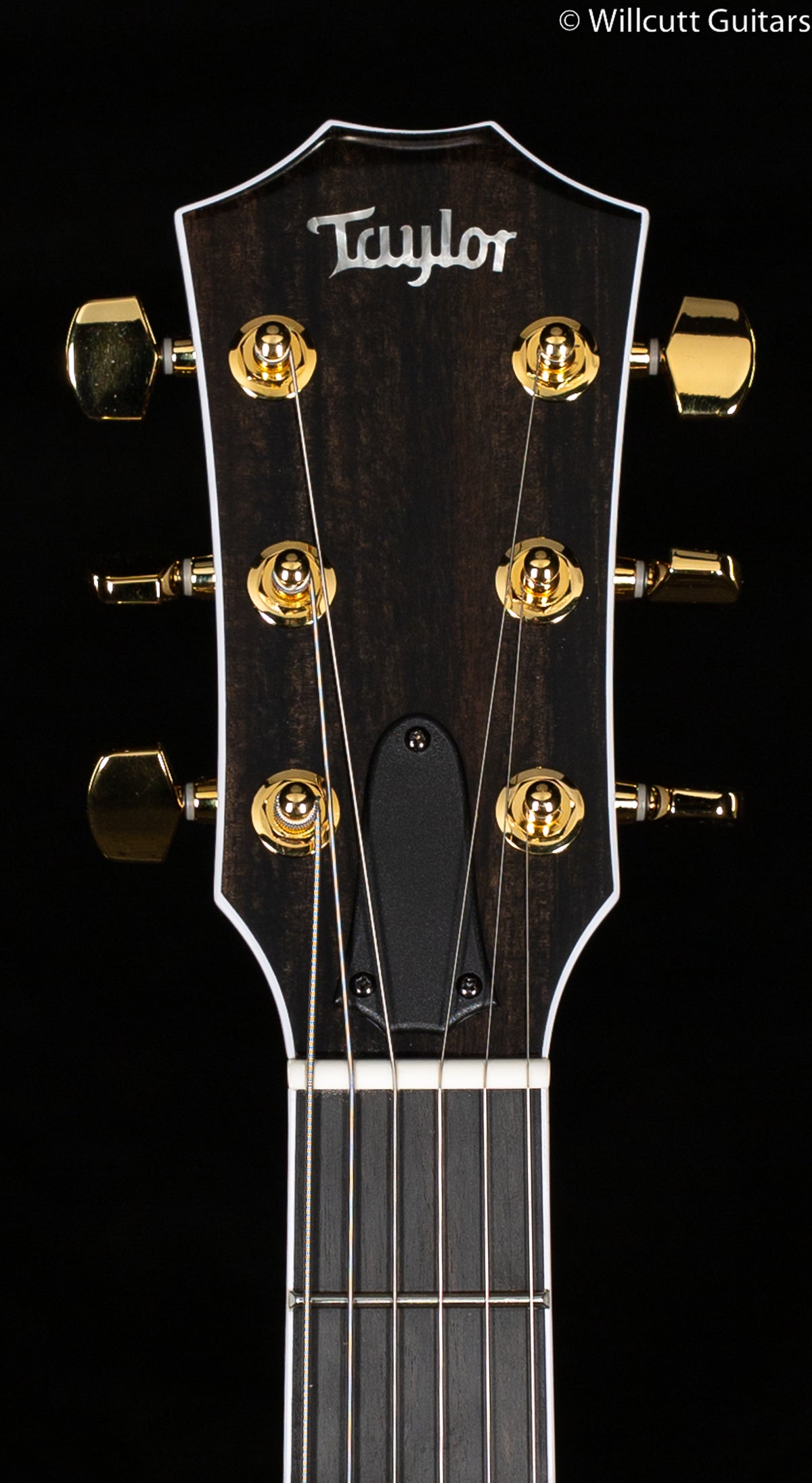 Taylor T5z Custom Koa (012)