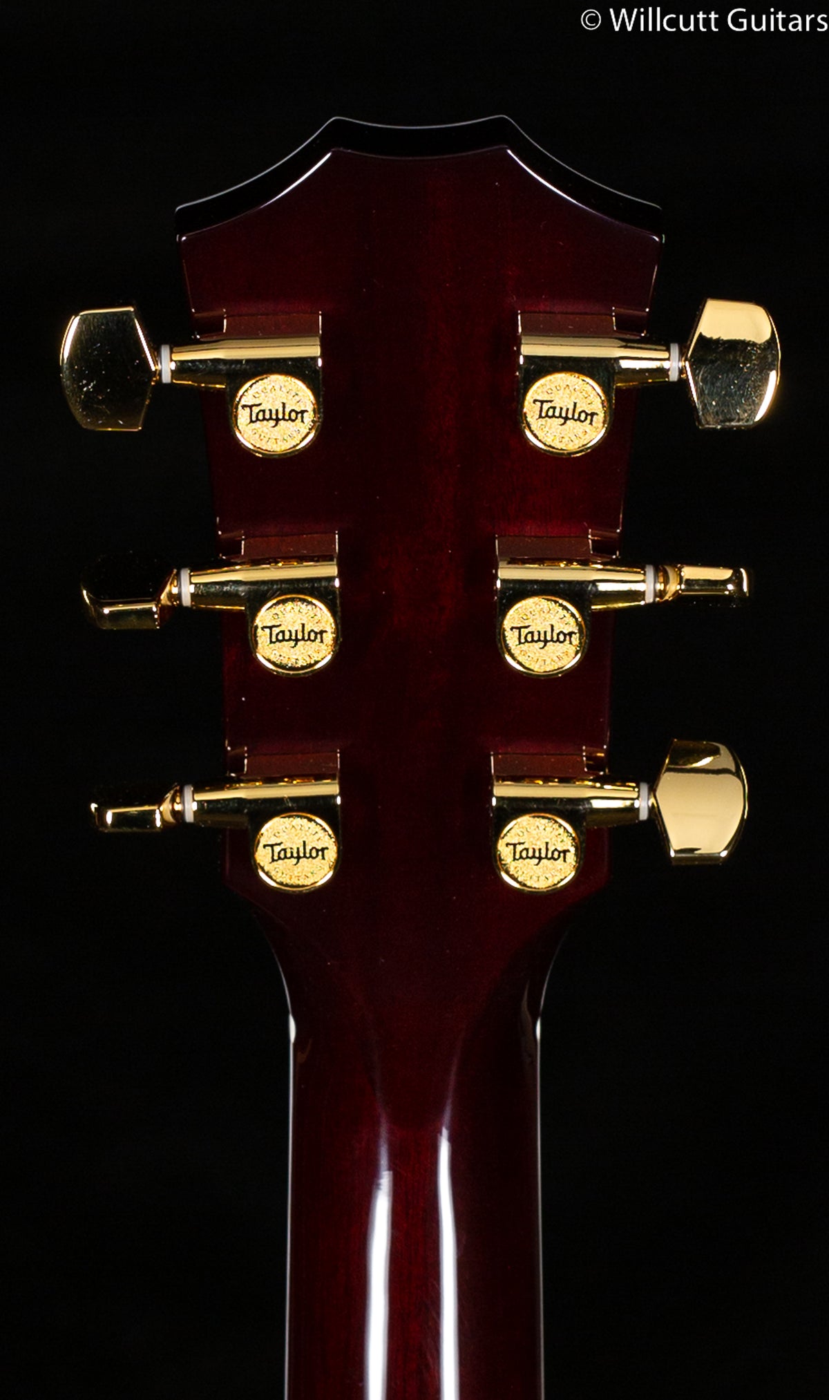 Taylor T5z Custom Koa (012)