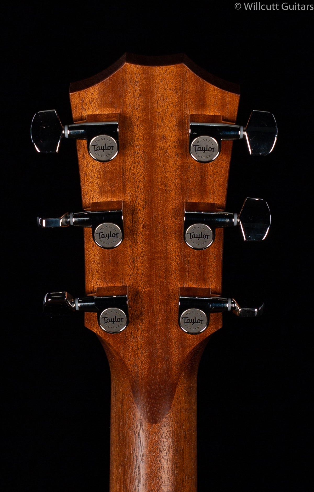 Taylor American Dream Grand Pacific AD27e