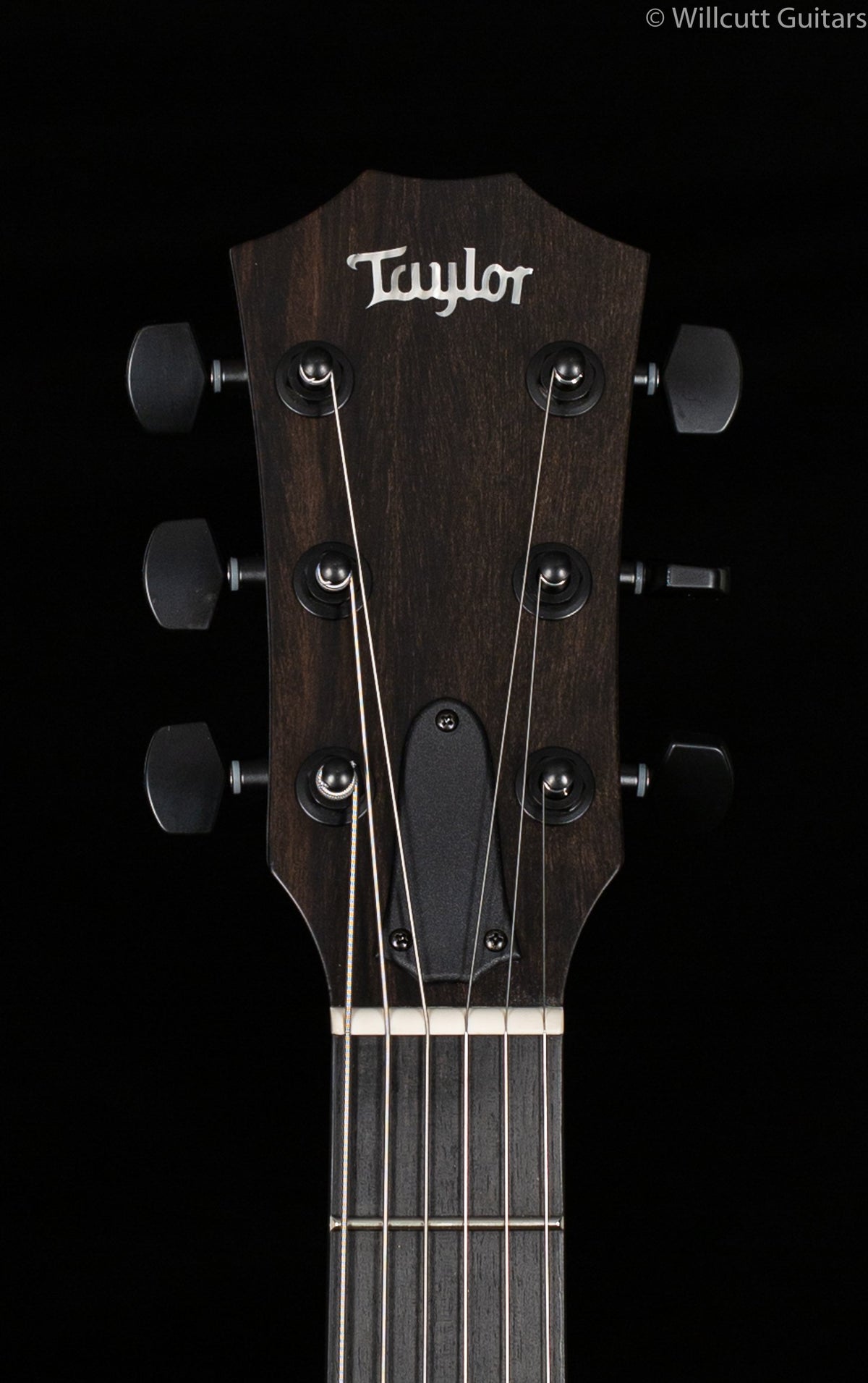 Taylor T5z Classic Koa