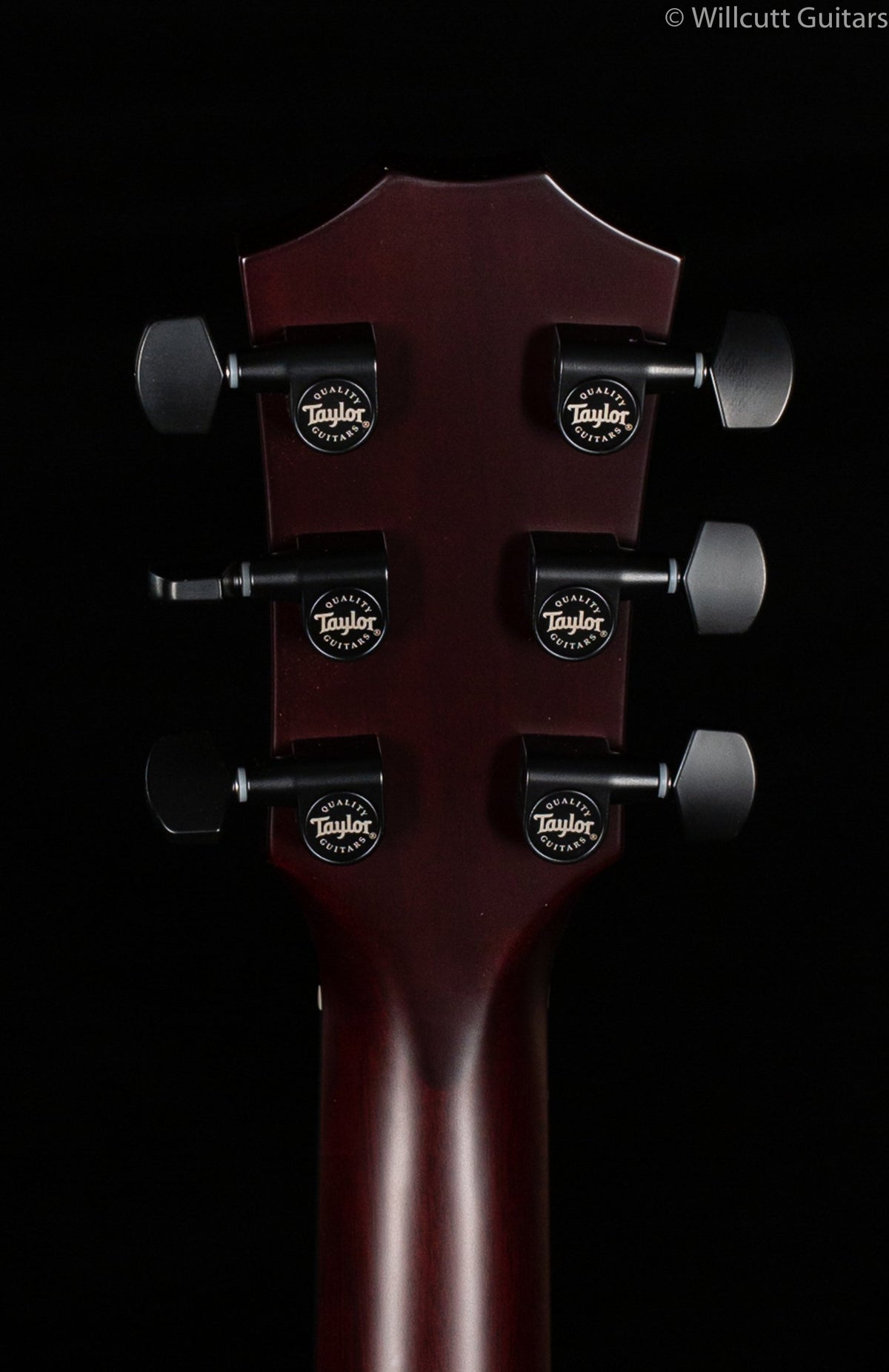 Taylor T5z Classic Koa