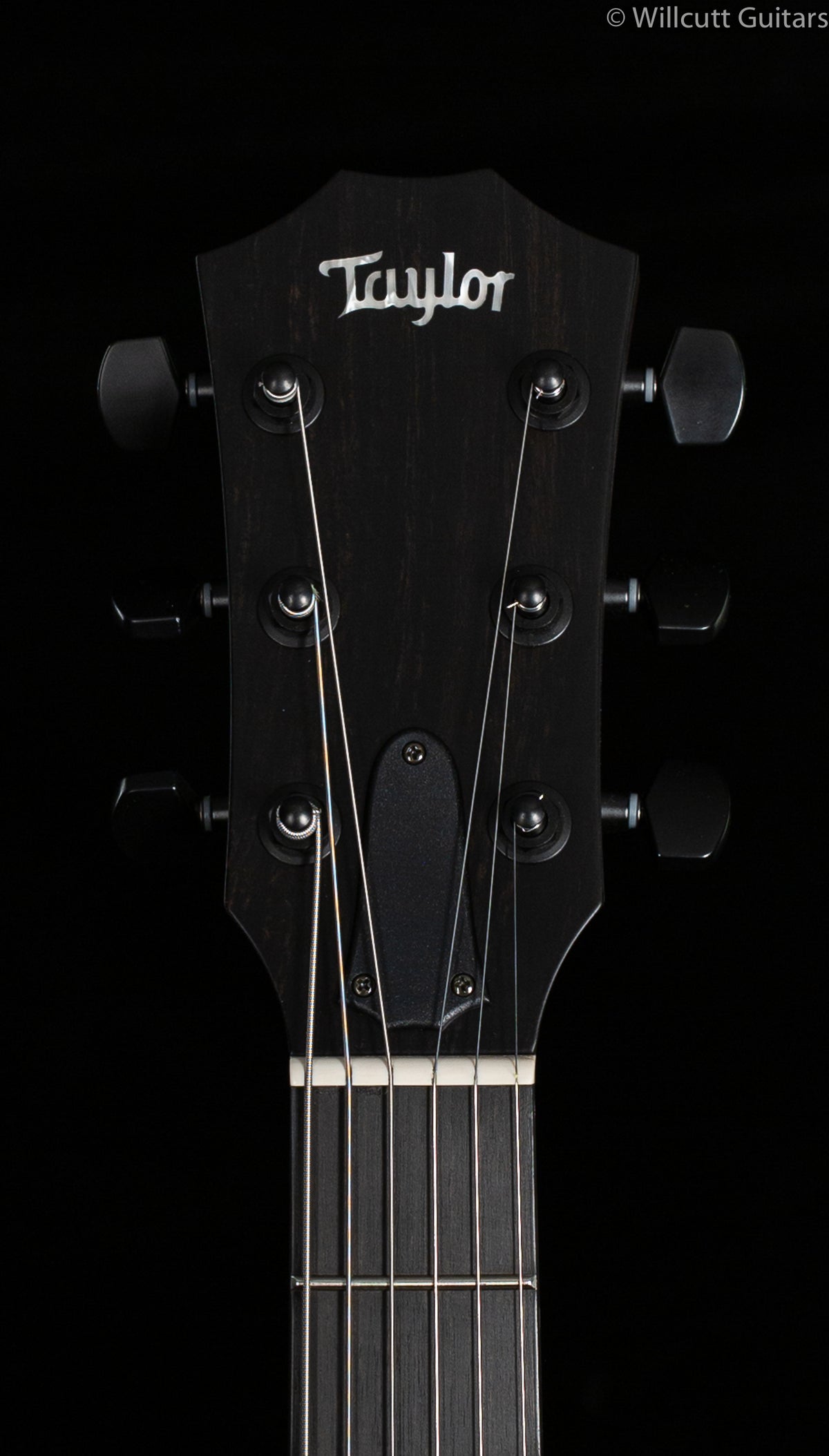 Taylor T5z Classic Koa