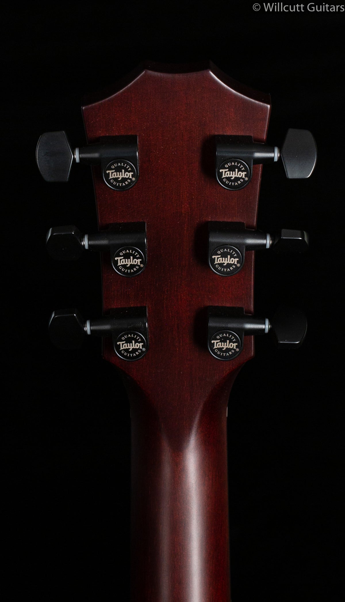 Taylor T5z Classic Koa