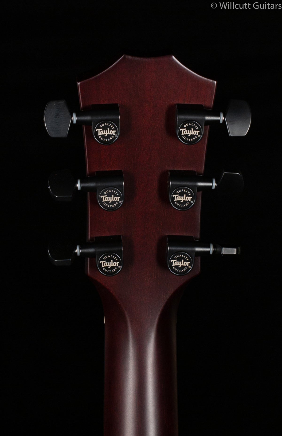 Taylor T5z Classic Koa