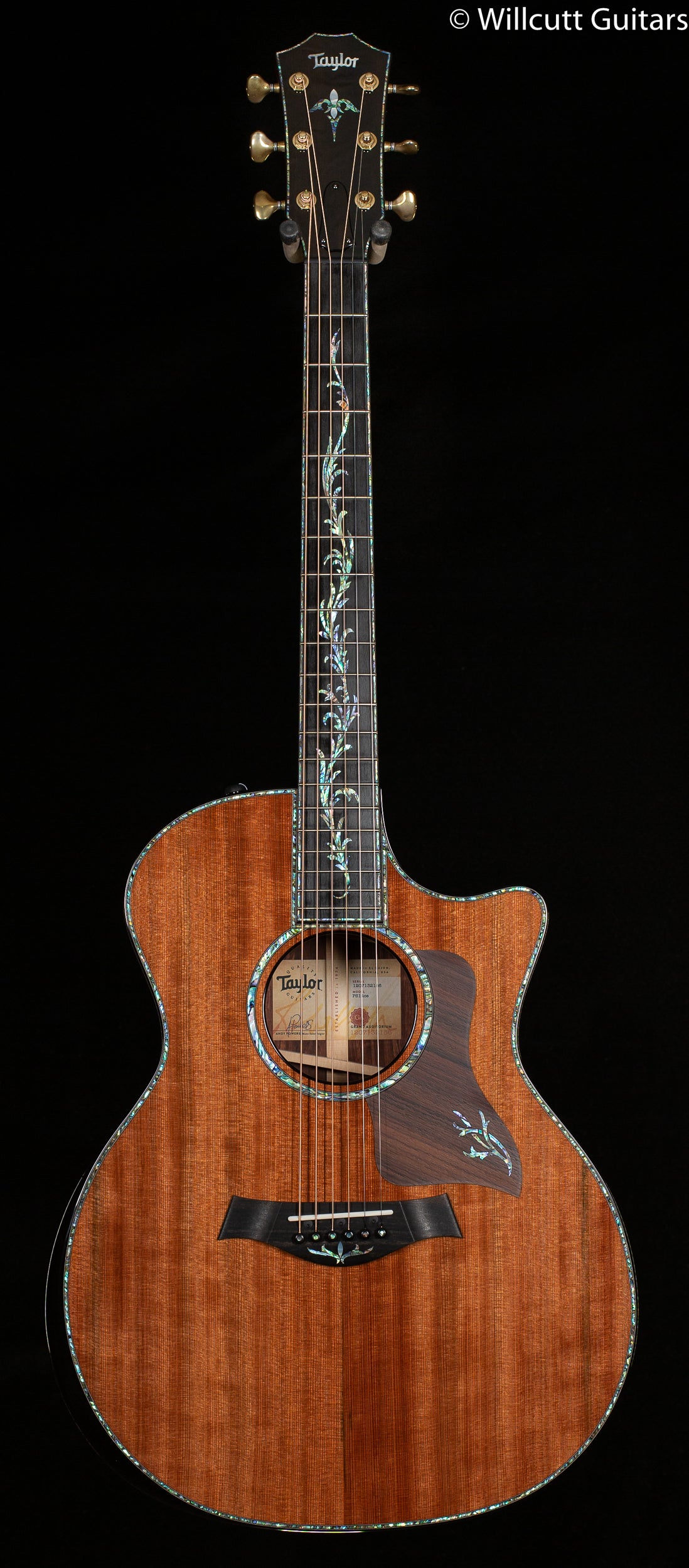 Taylor PS14ce Honduran Rosewood/Sinker Redwood V-Class (186)