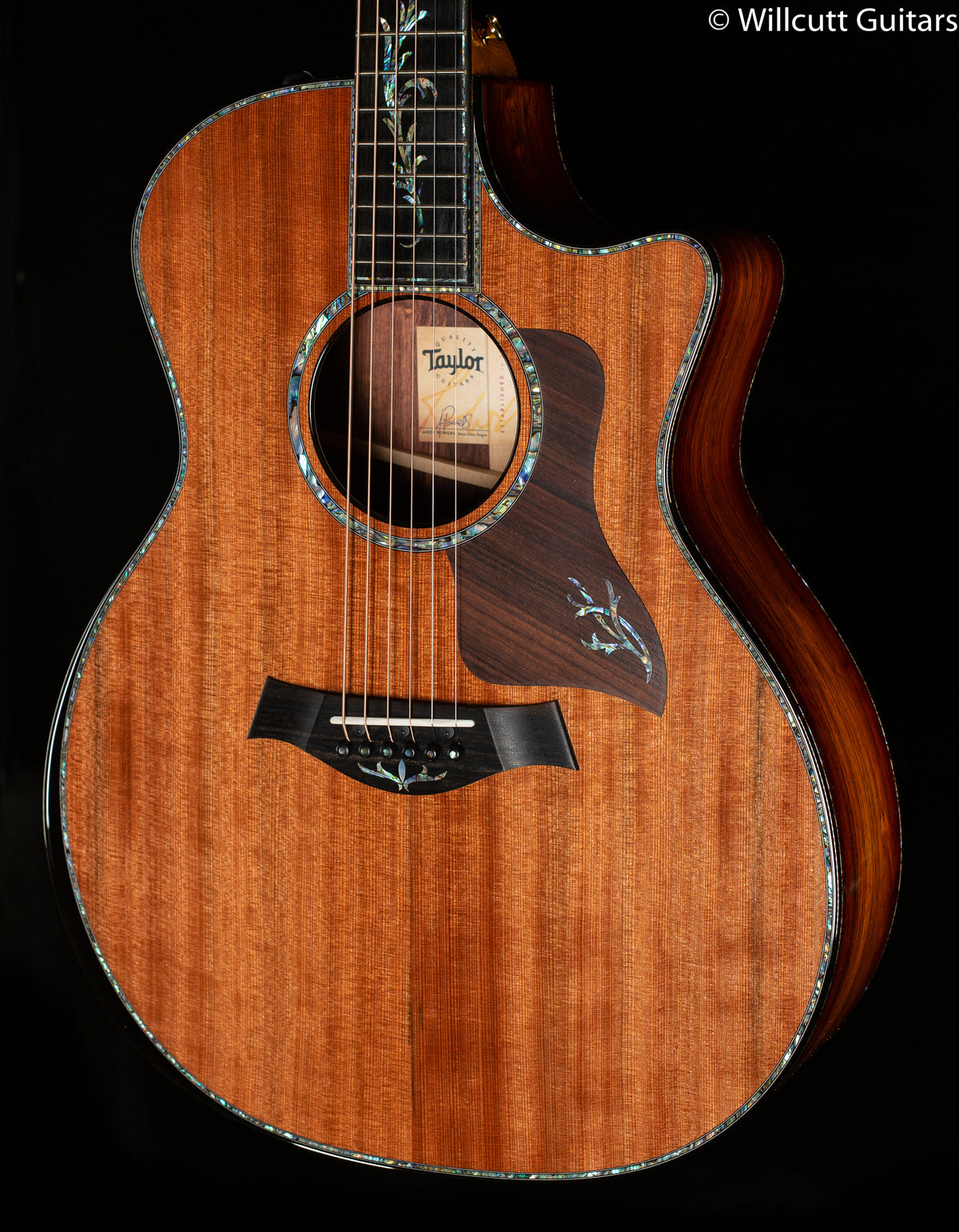 Taylor PS14ce Honduran Rosewood/Sinker Redwood V-Class (186)