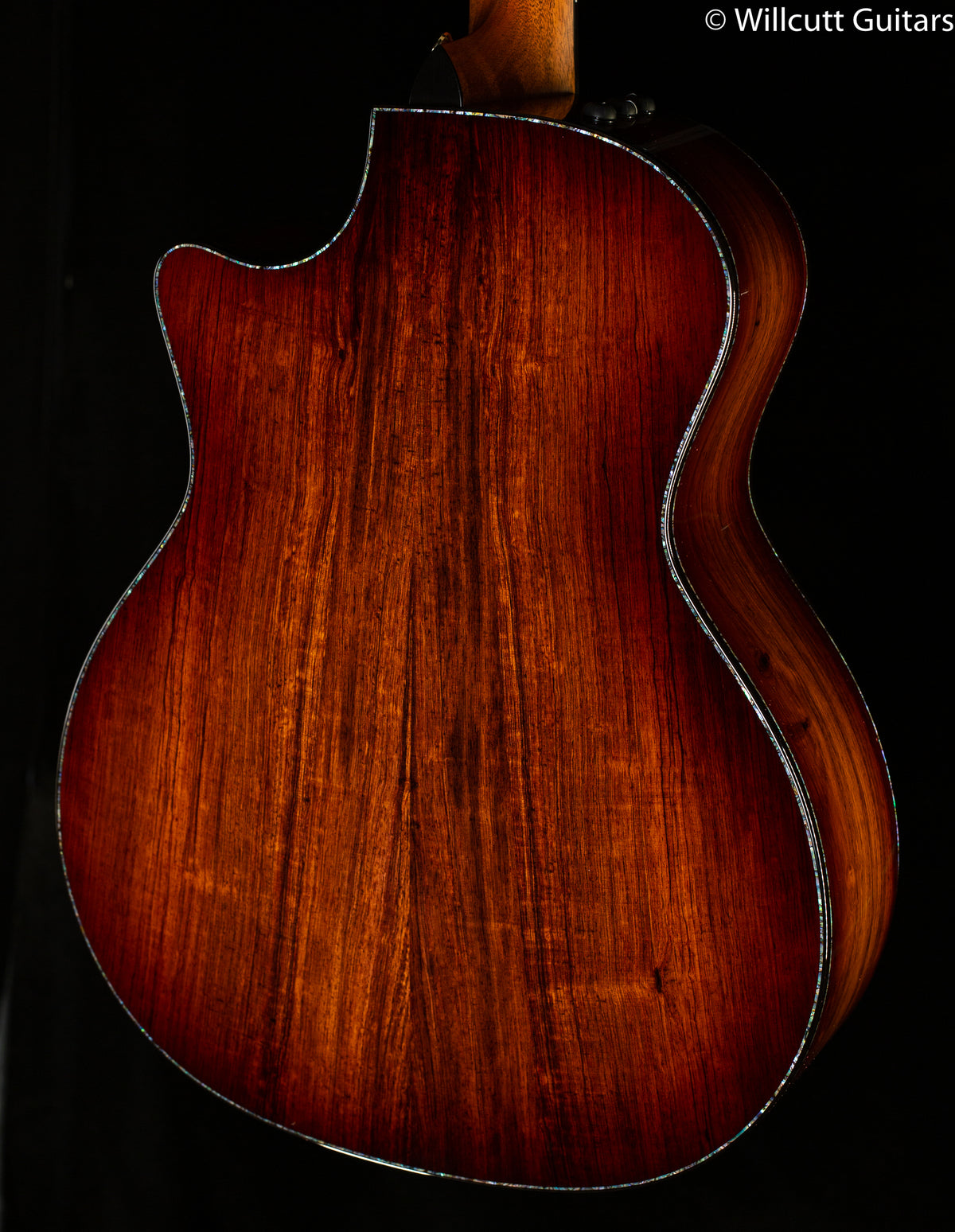 Taylor PS14ce Honduran Rosewood/Sinker Redwood V-Class (186)
