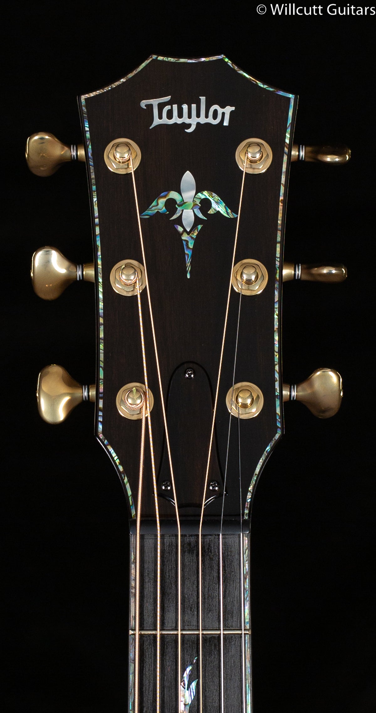 Taylor PS14ce Honduran Rosewood/Sinker Redwood V-Class (186)